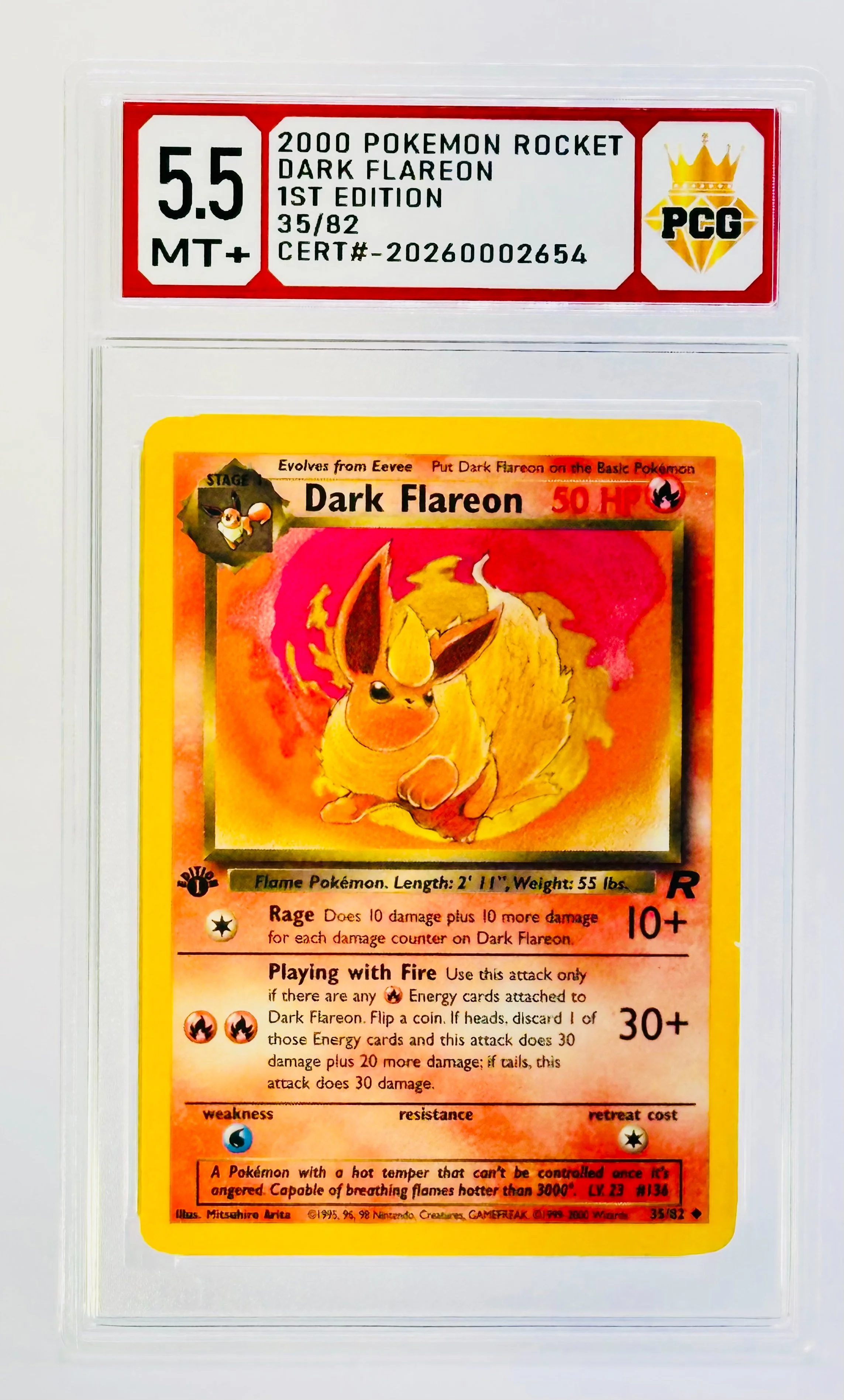 #20260002654 2000 DARK FLAREON 5.5 MT+