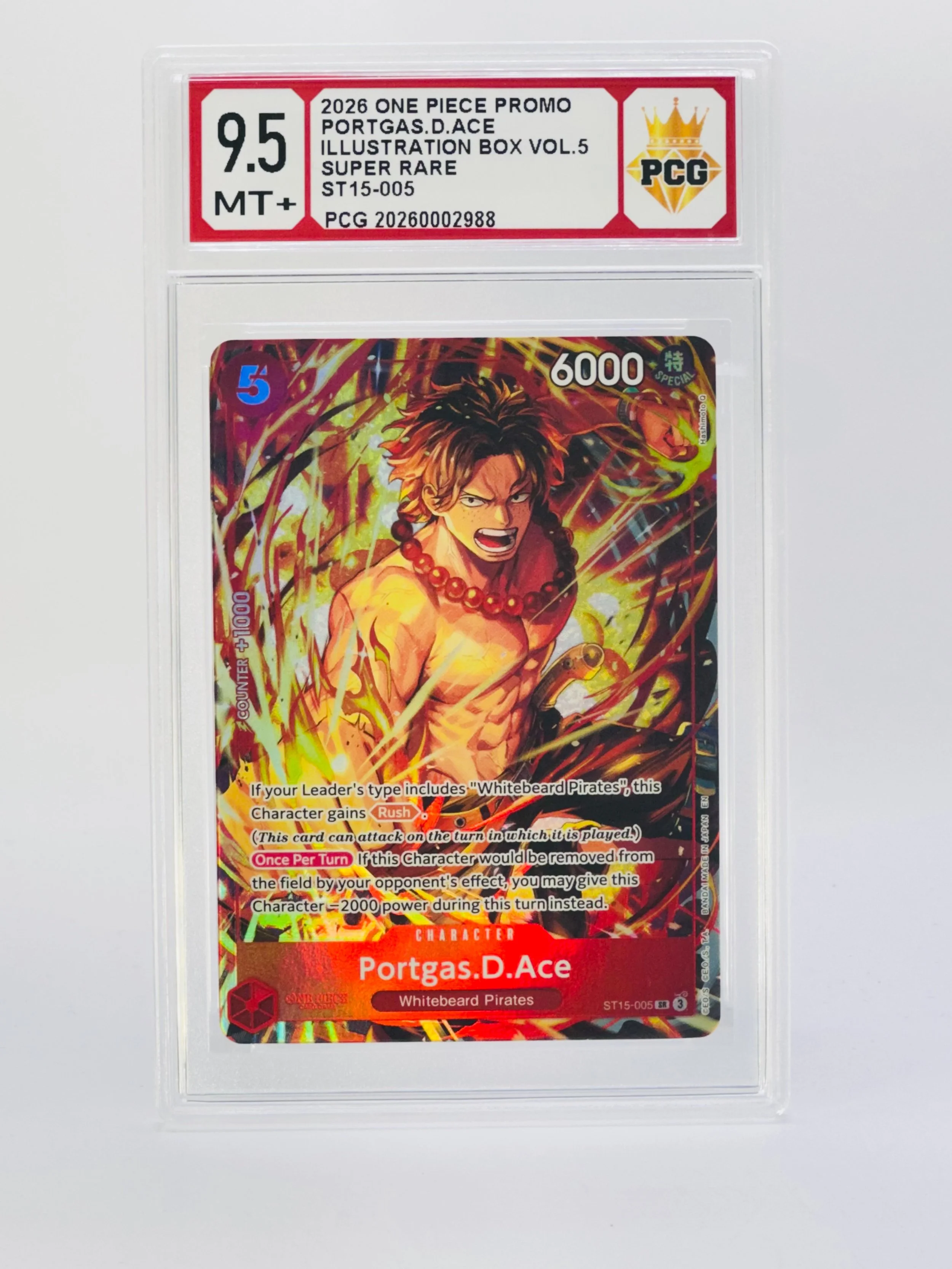 #20260002988 2026 PORTGAS D ACE 9.5 MT+