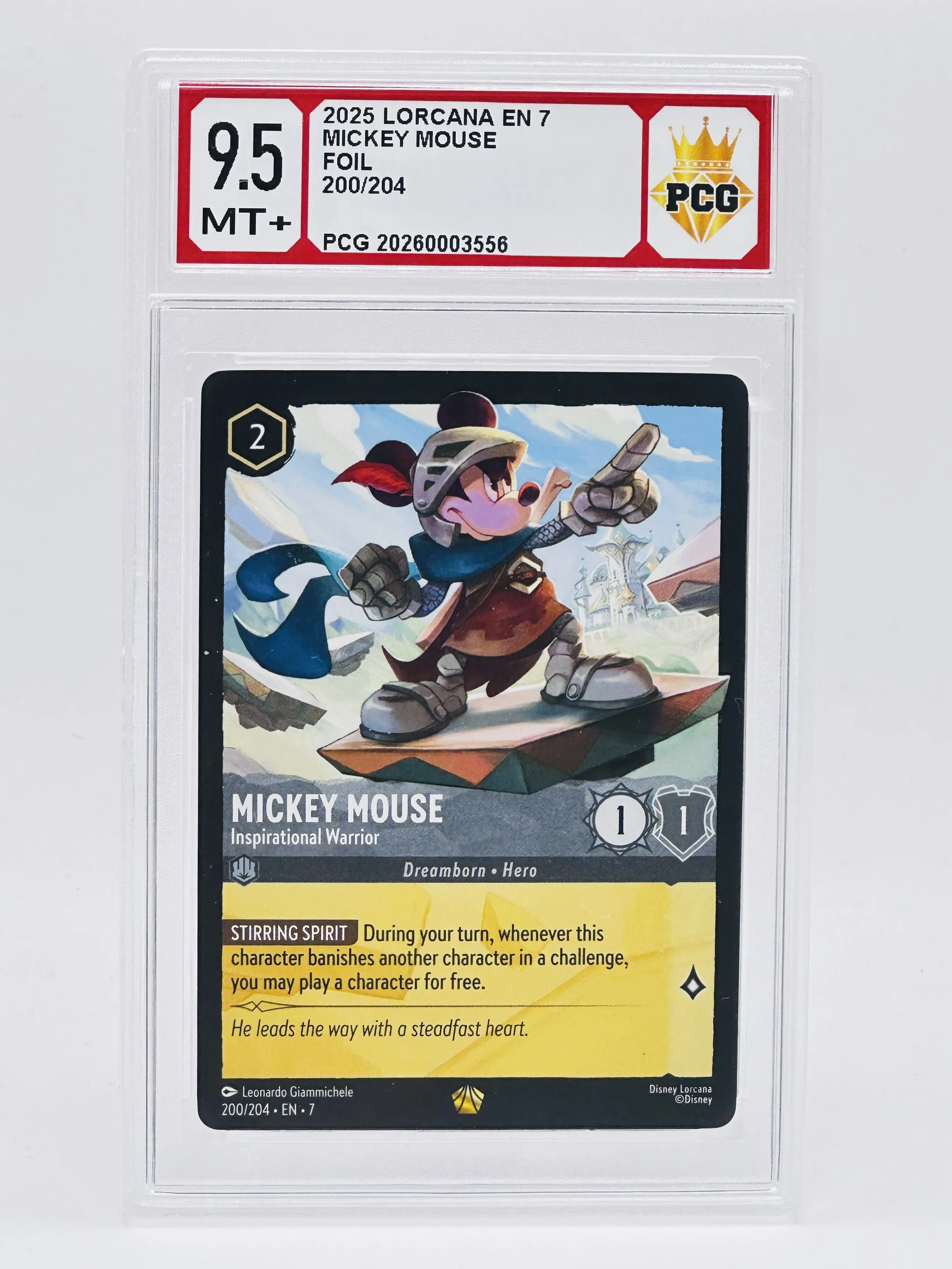 #20260003556 2025 MICKEY MOUSE 9.5 MT+