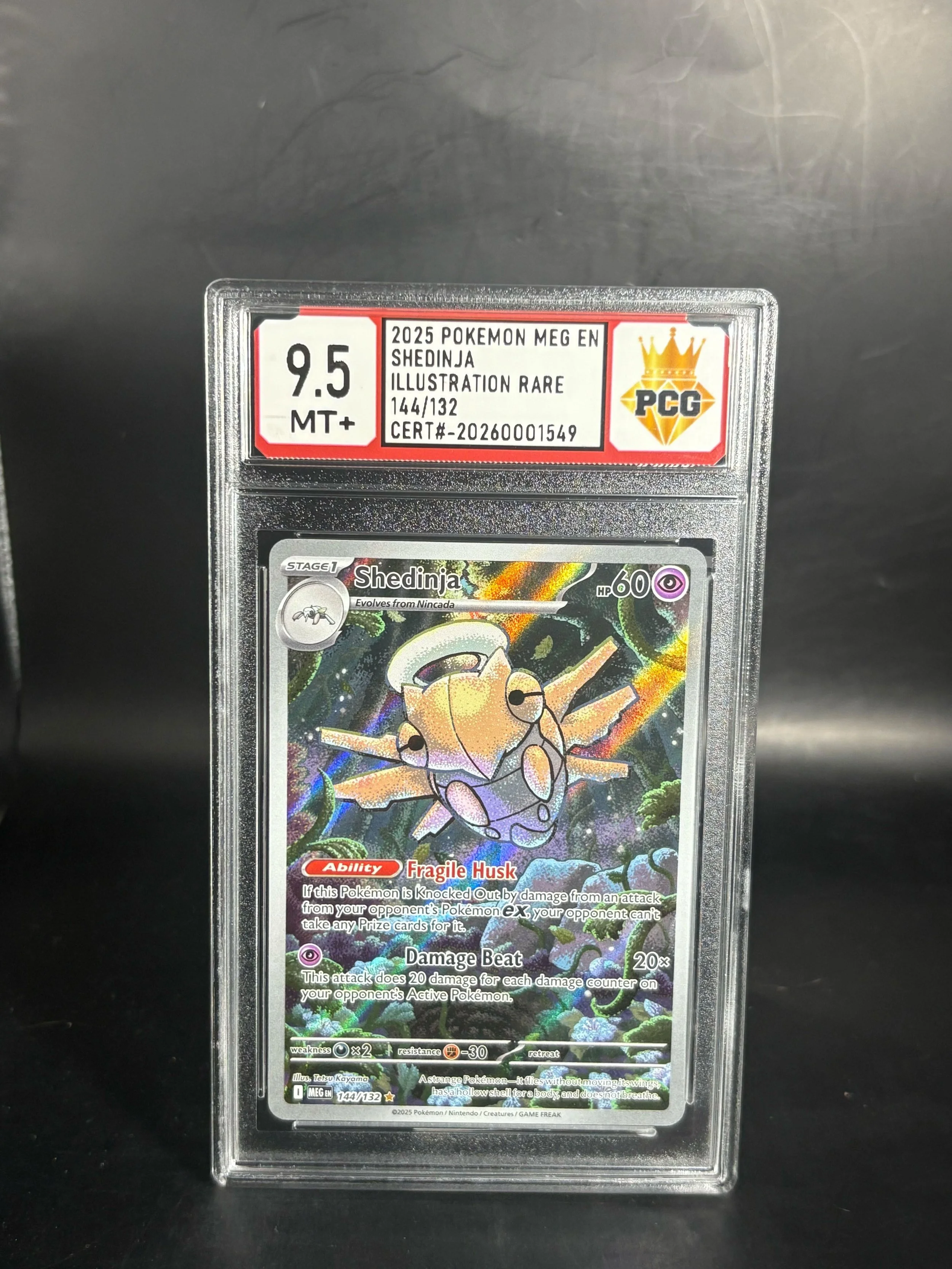 #20260001549 2025 SHEDINJA 9.5 MT+