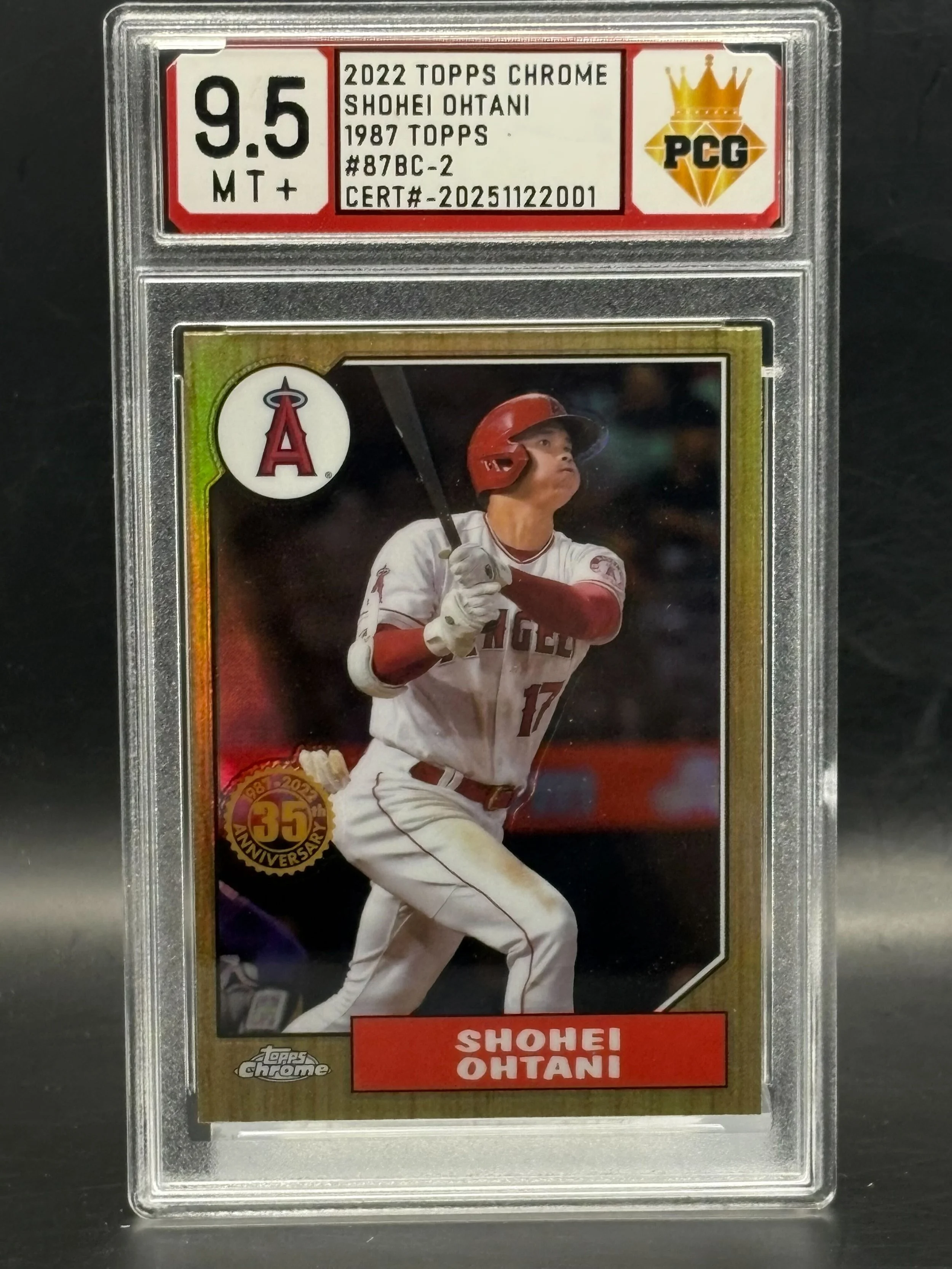 #20251122001 Shohei Ohtani 9.5MT+