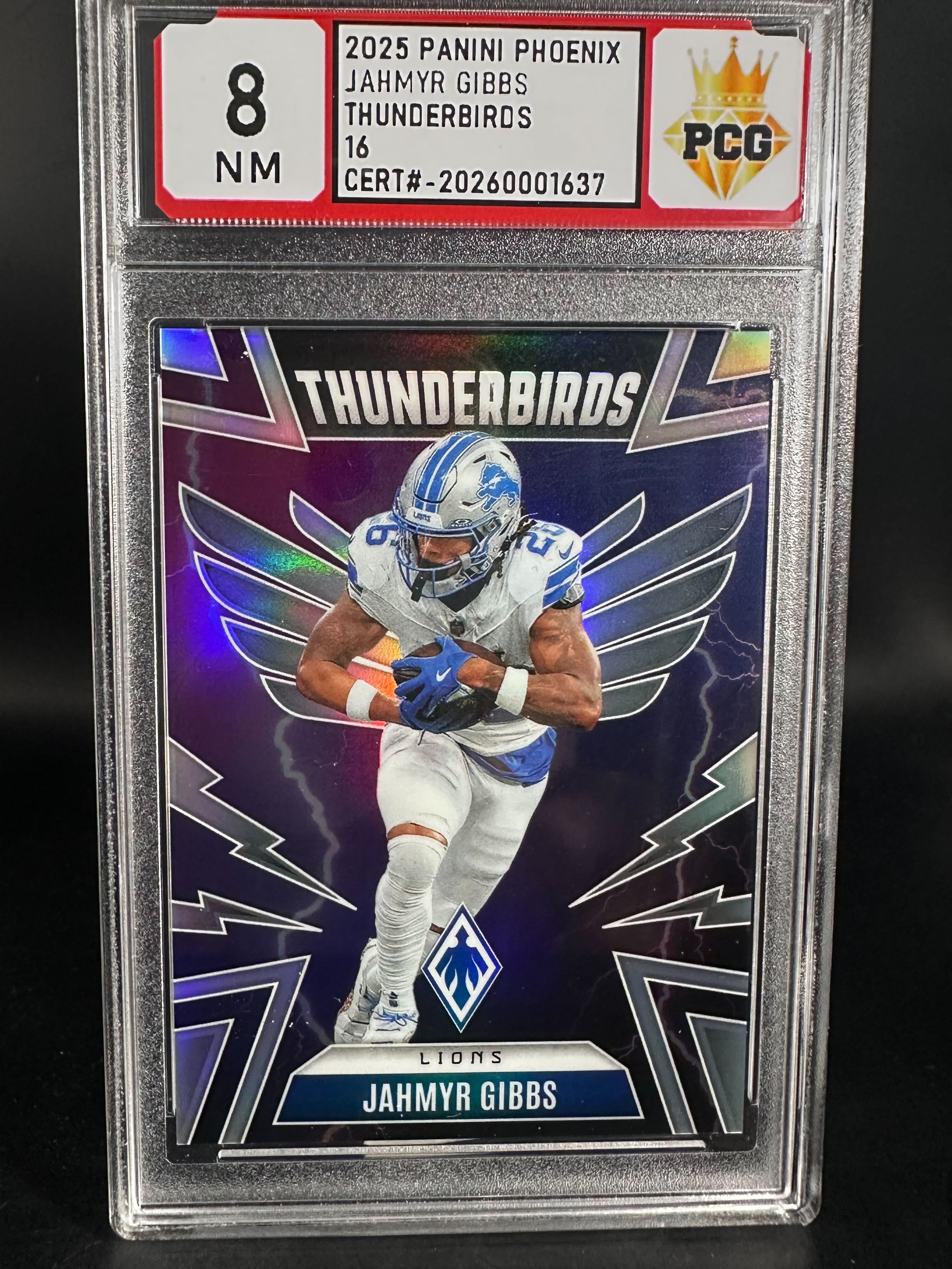 #20260001637 2025 JAHMYR GIBBS 8 NM