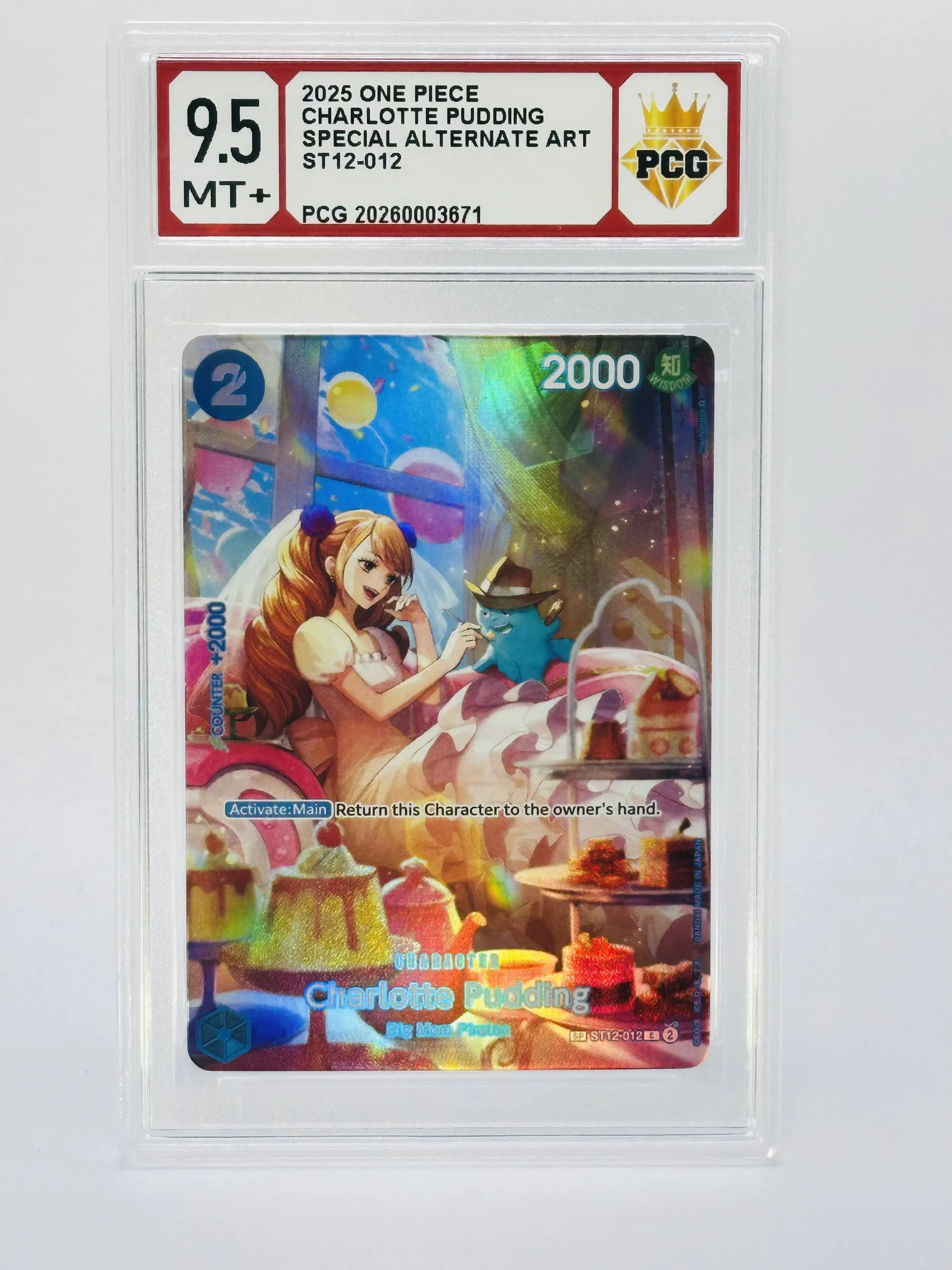 #20260003671 2025 CHARLOTTE PUDDING 9.5 MT+