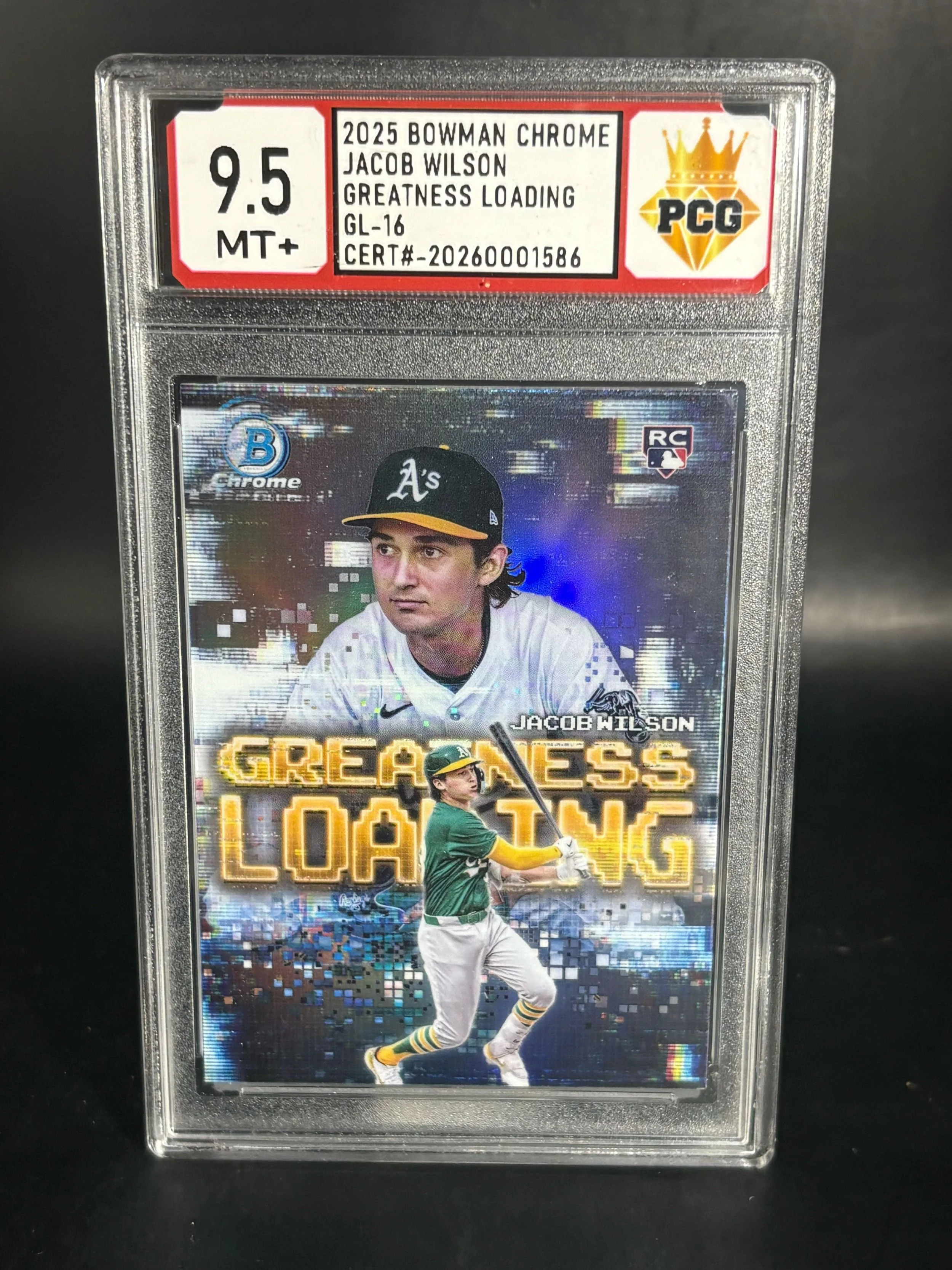 #20260001586 2025 JACOB WILSON 9.5 MT+
