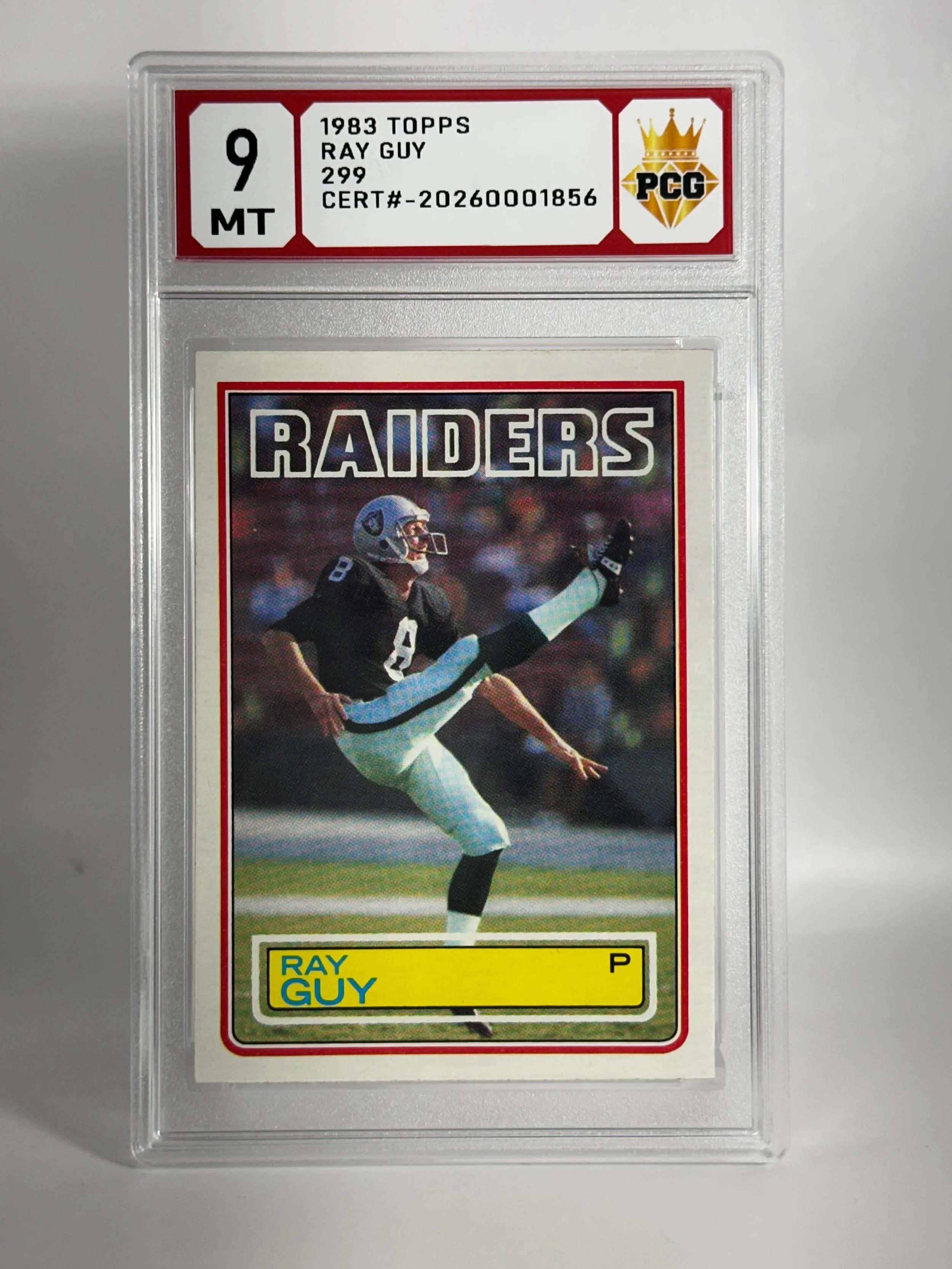#20270001856 1983 RAY GUY 9 MT