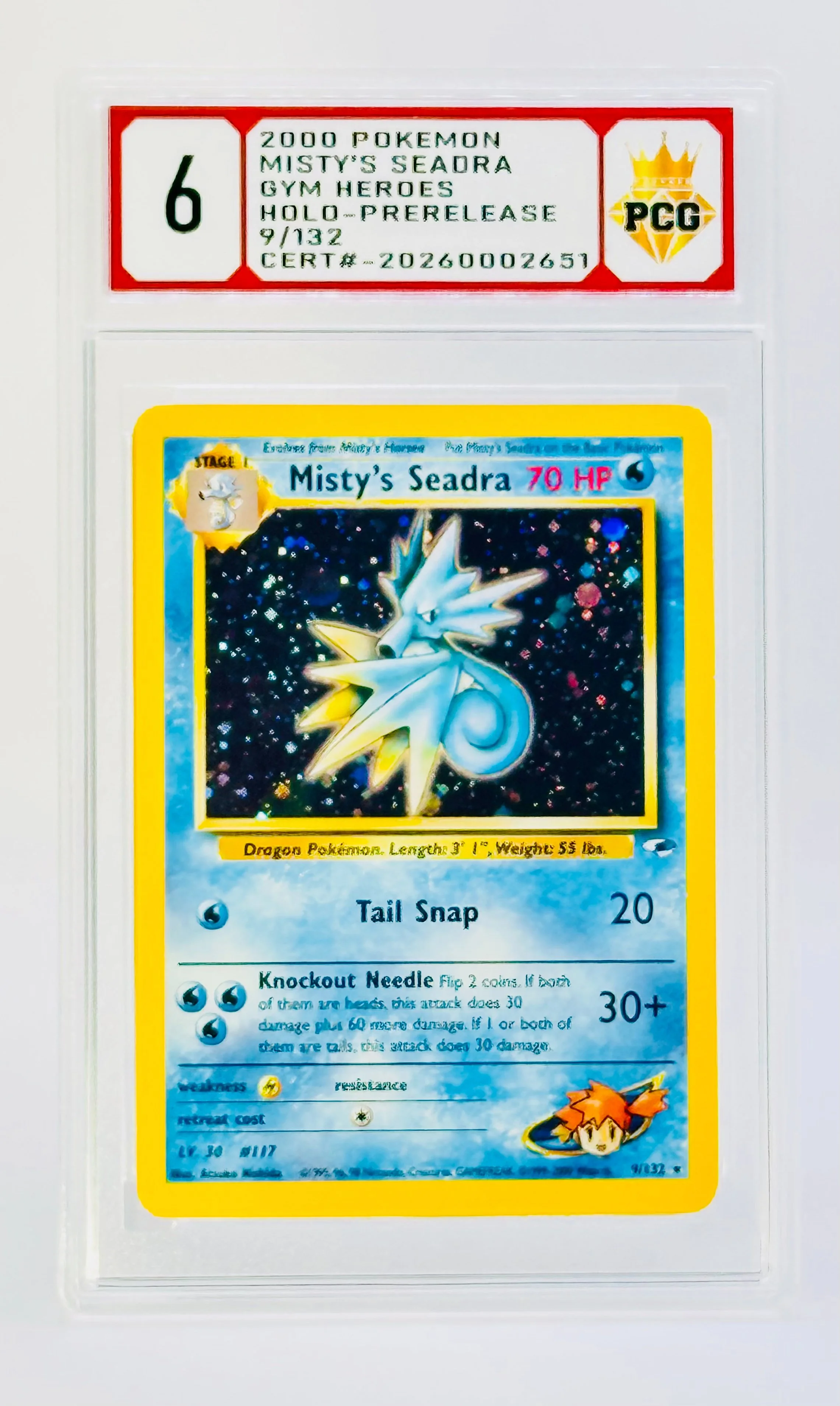 #20260002651 2000 MISTY'S SEADRA 6