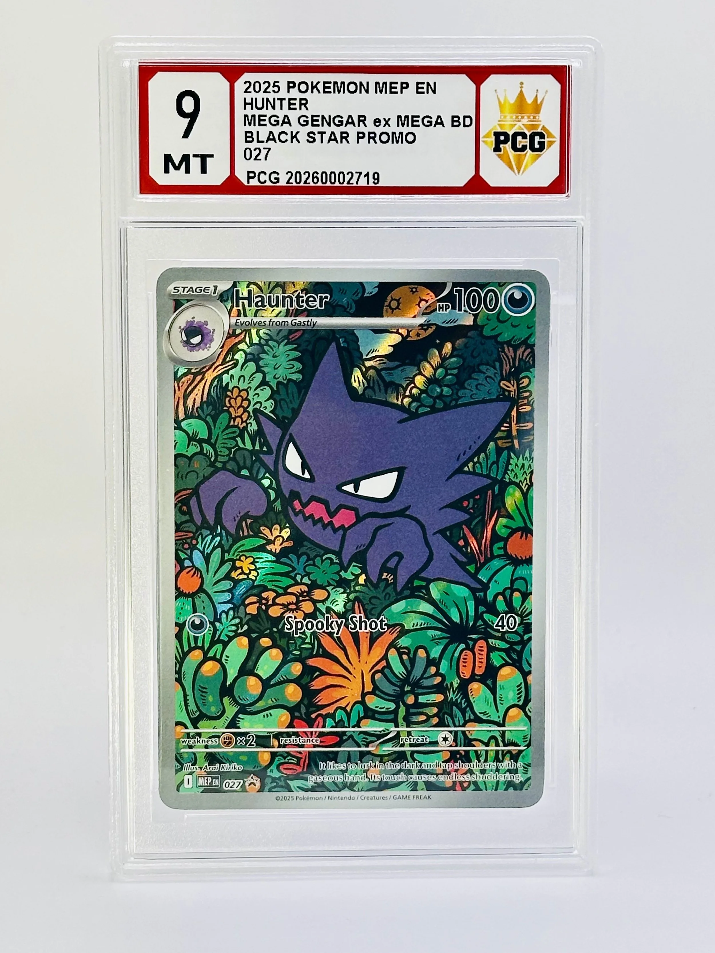 #20260002719 2025 HUNTER 9 MT