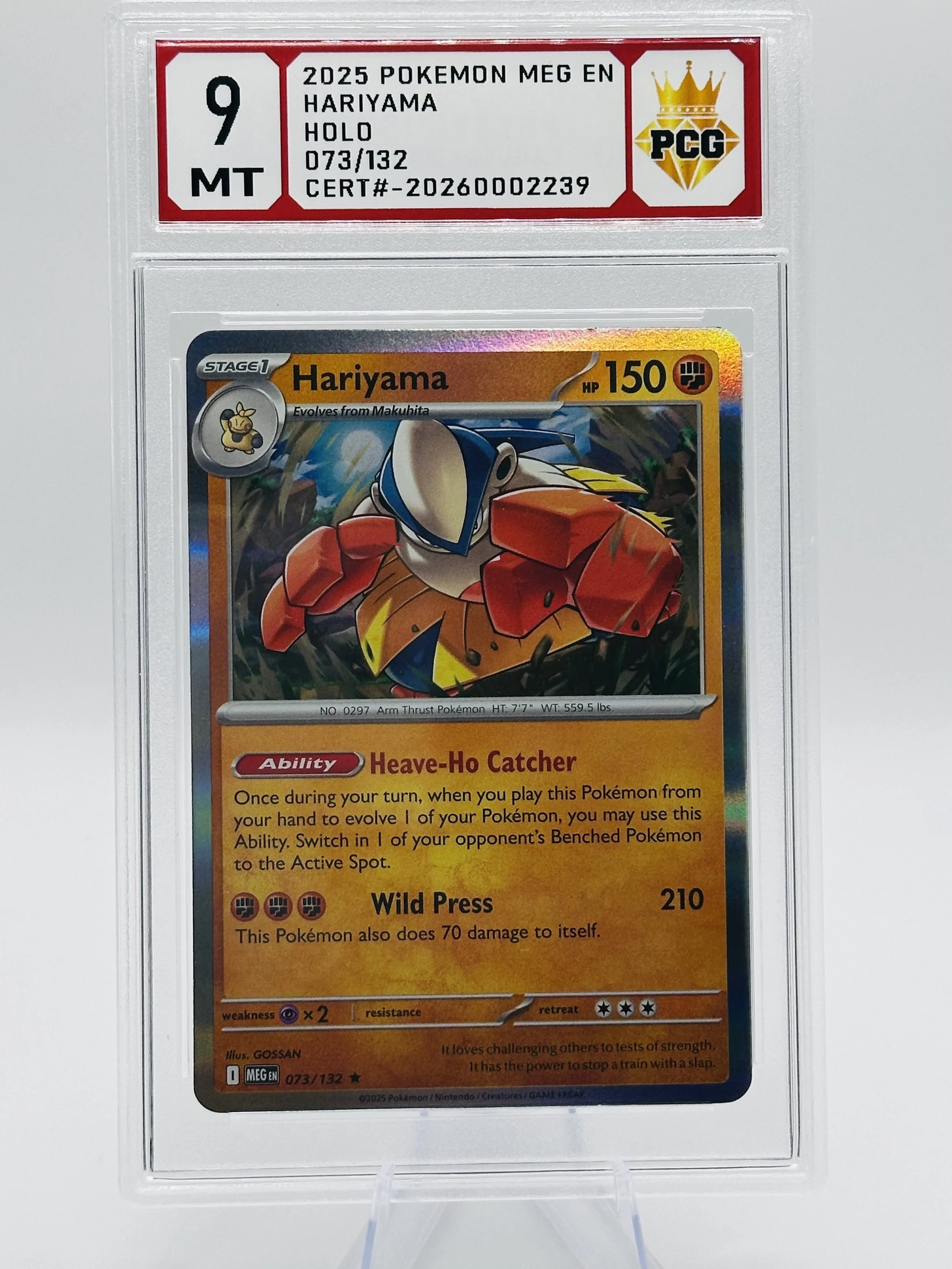 #20260002239 2025 HARIYAMA 9 MT