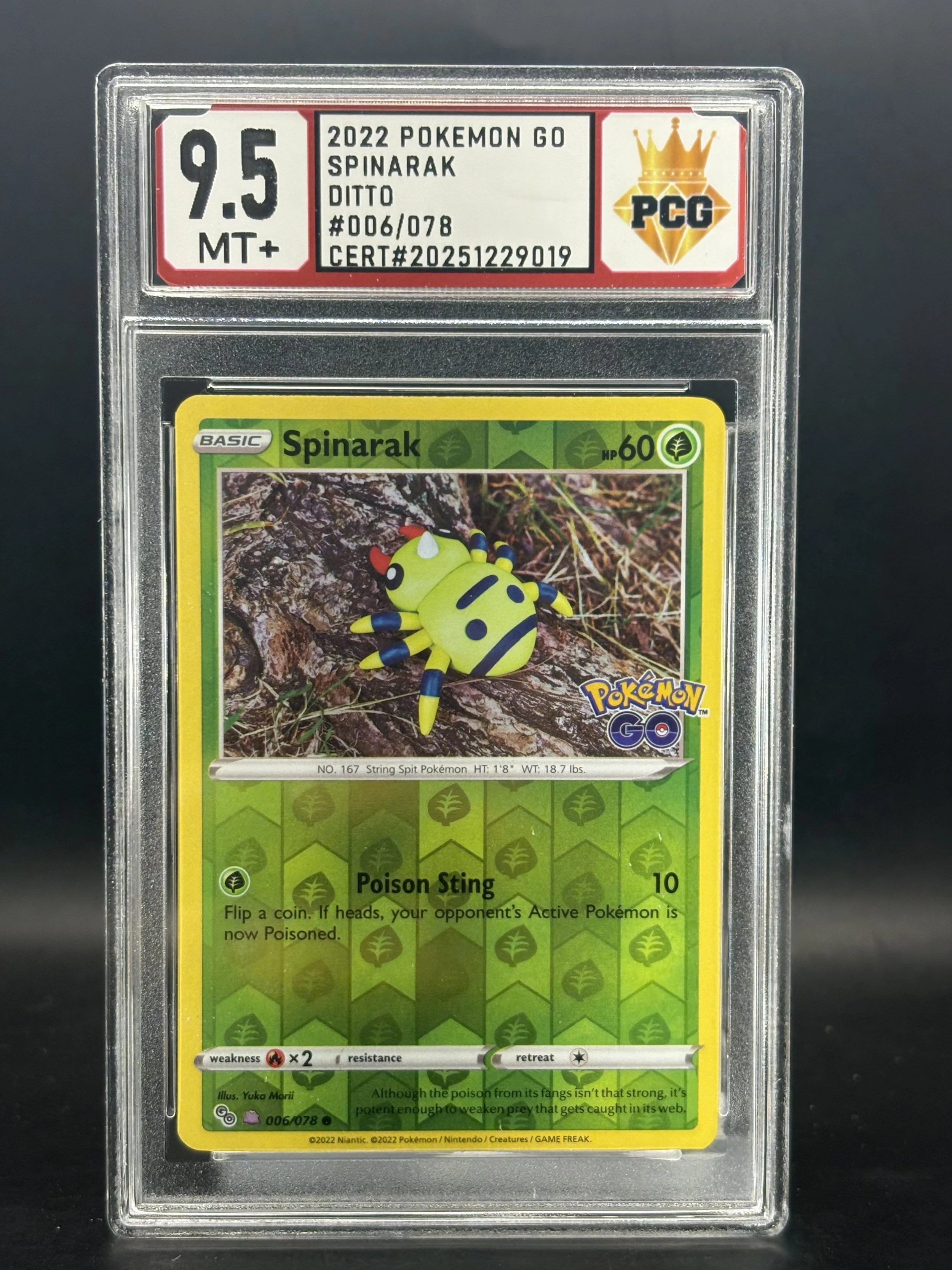 #20251229019 2022 POKEMON GO SPINARAK DITTO 9.5 MT+