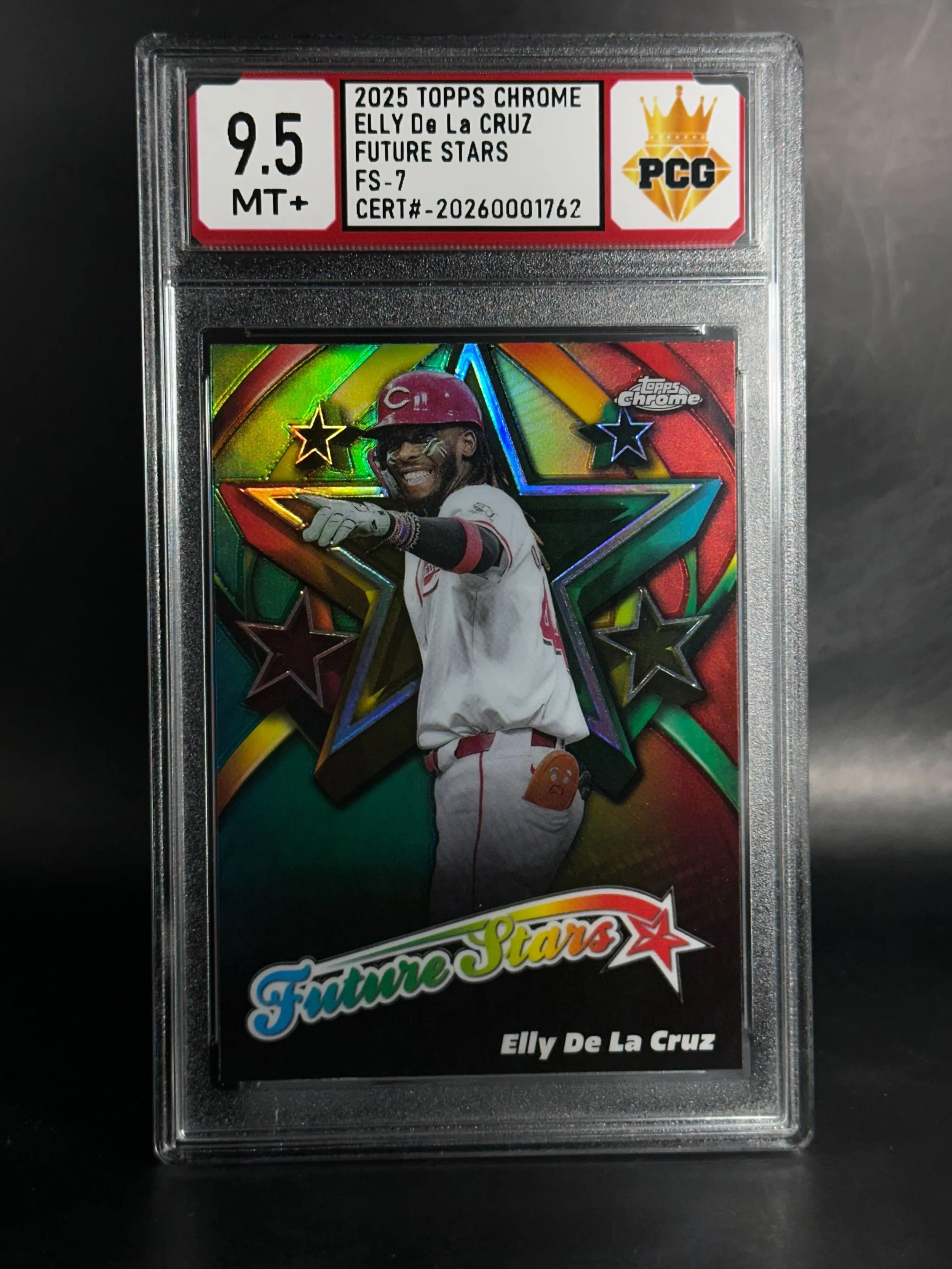 #20260001762 2025 ELLY DE LA CRUZ 9.5 MT+