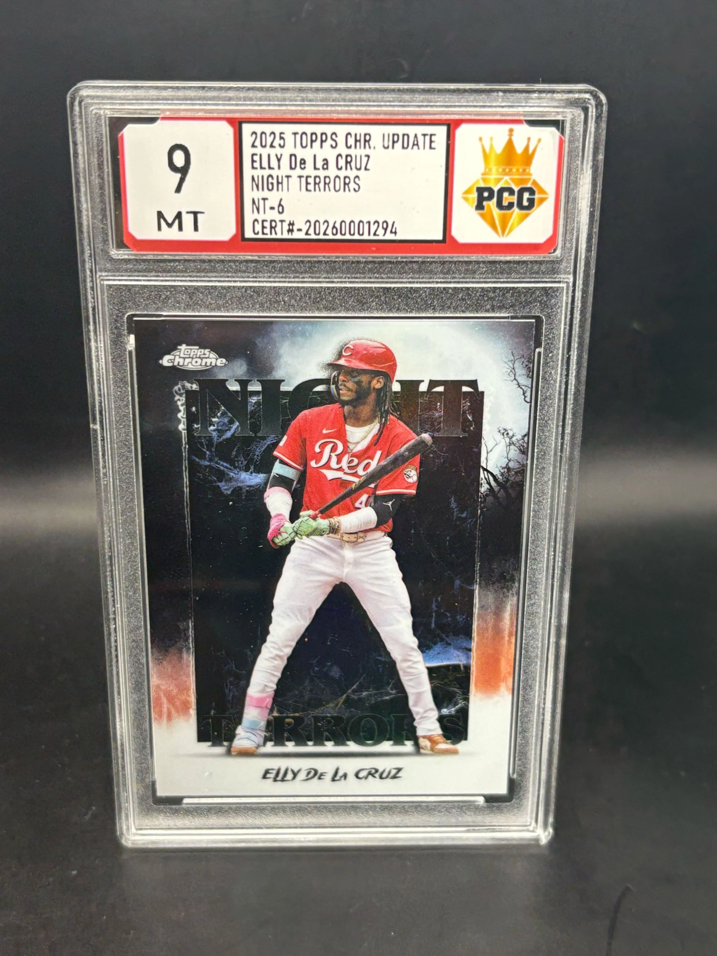 #20260001294 2025 ELLY DE LA CRUZ 9 MT