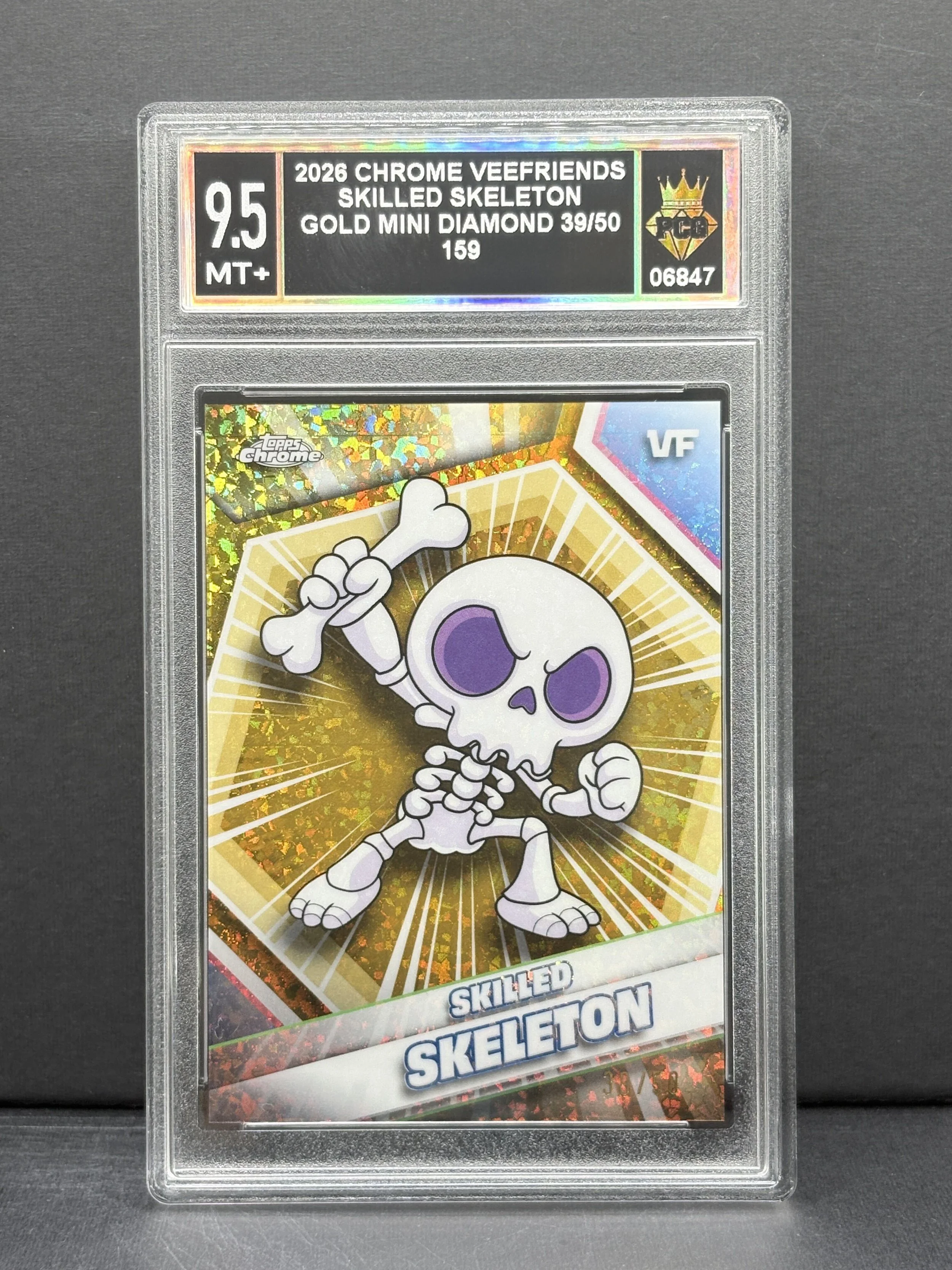 #06847 2026 SKLLED SKELETON 9.5 MT+