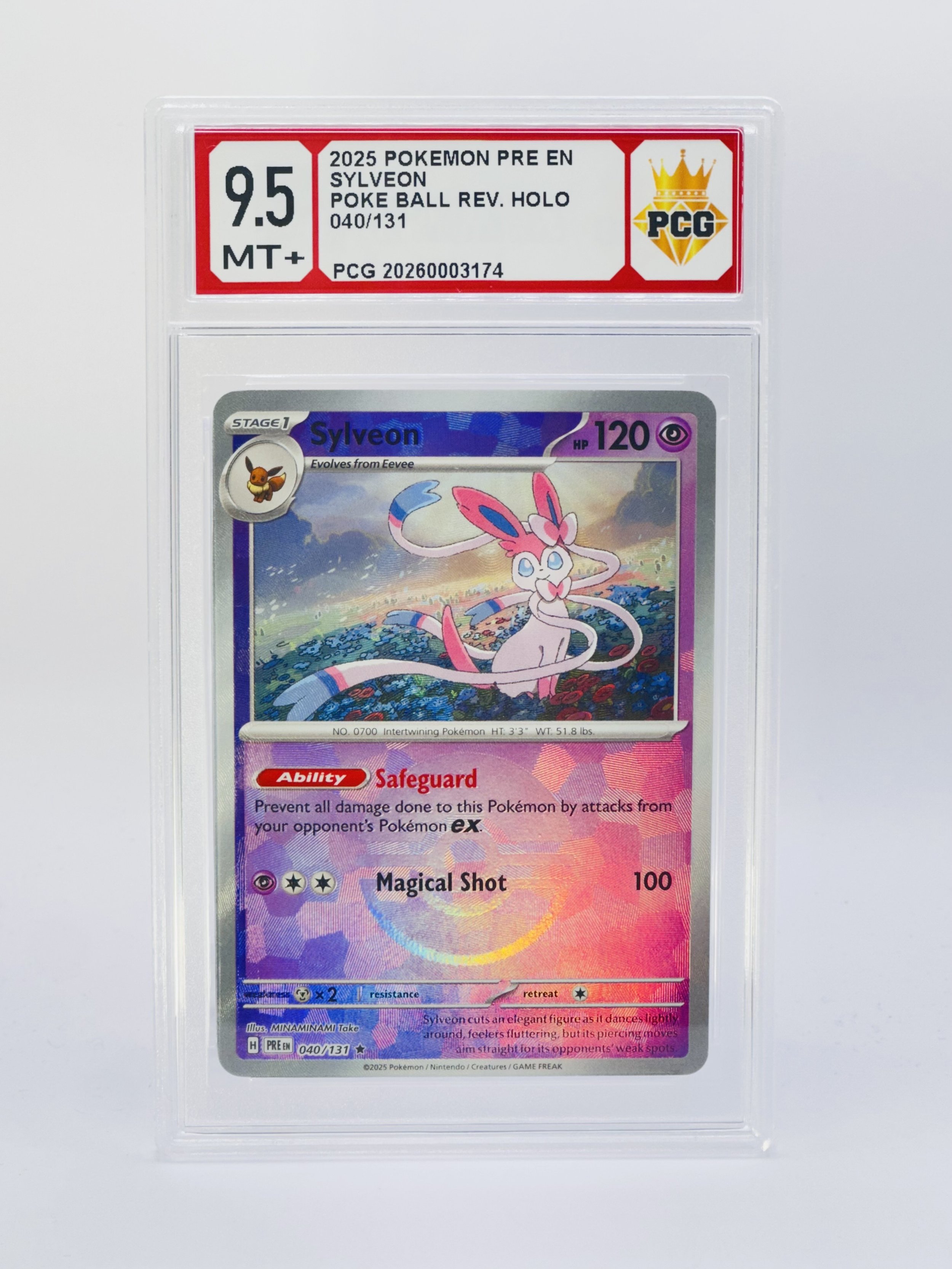 #20260003174 2025 SYLVEON 9.5 MT+
