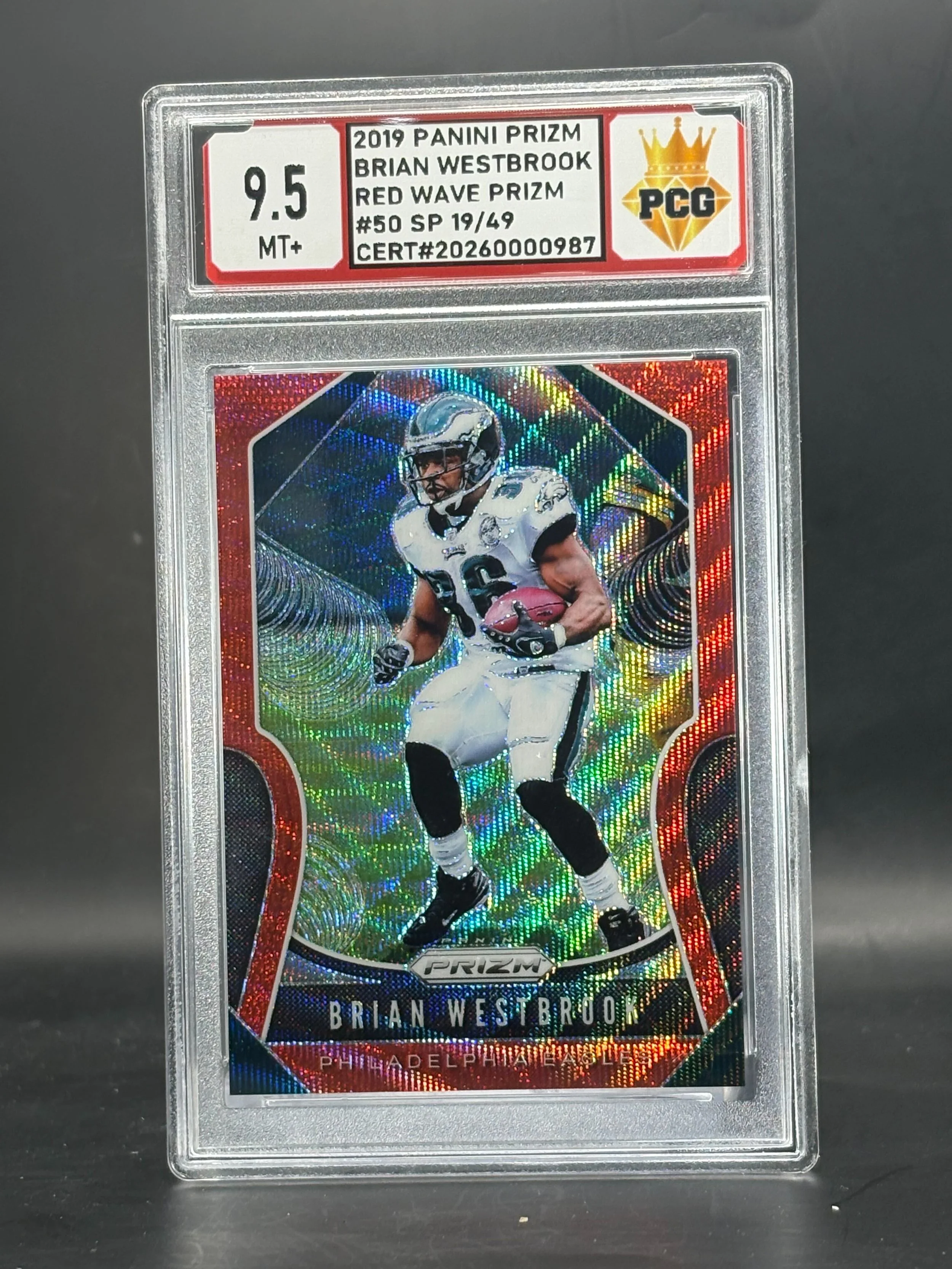 #20260000987 2019 BRIAN WESTBROOK 9.5 MT +