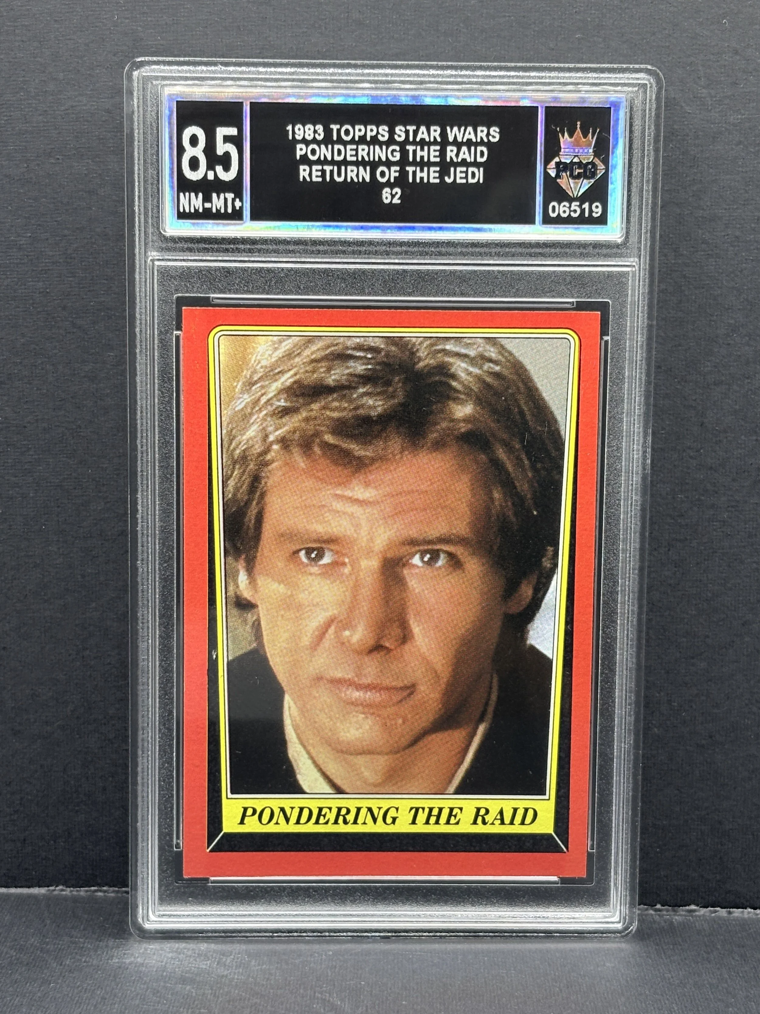 #06519 1983 PONDERING THE RAID 8.5 NM-MT+