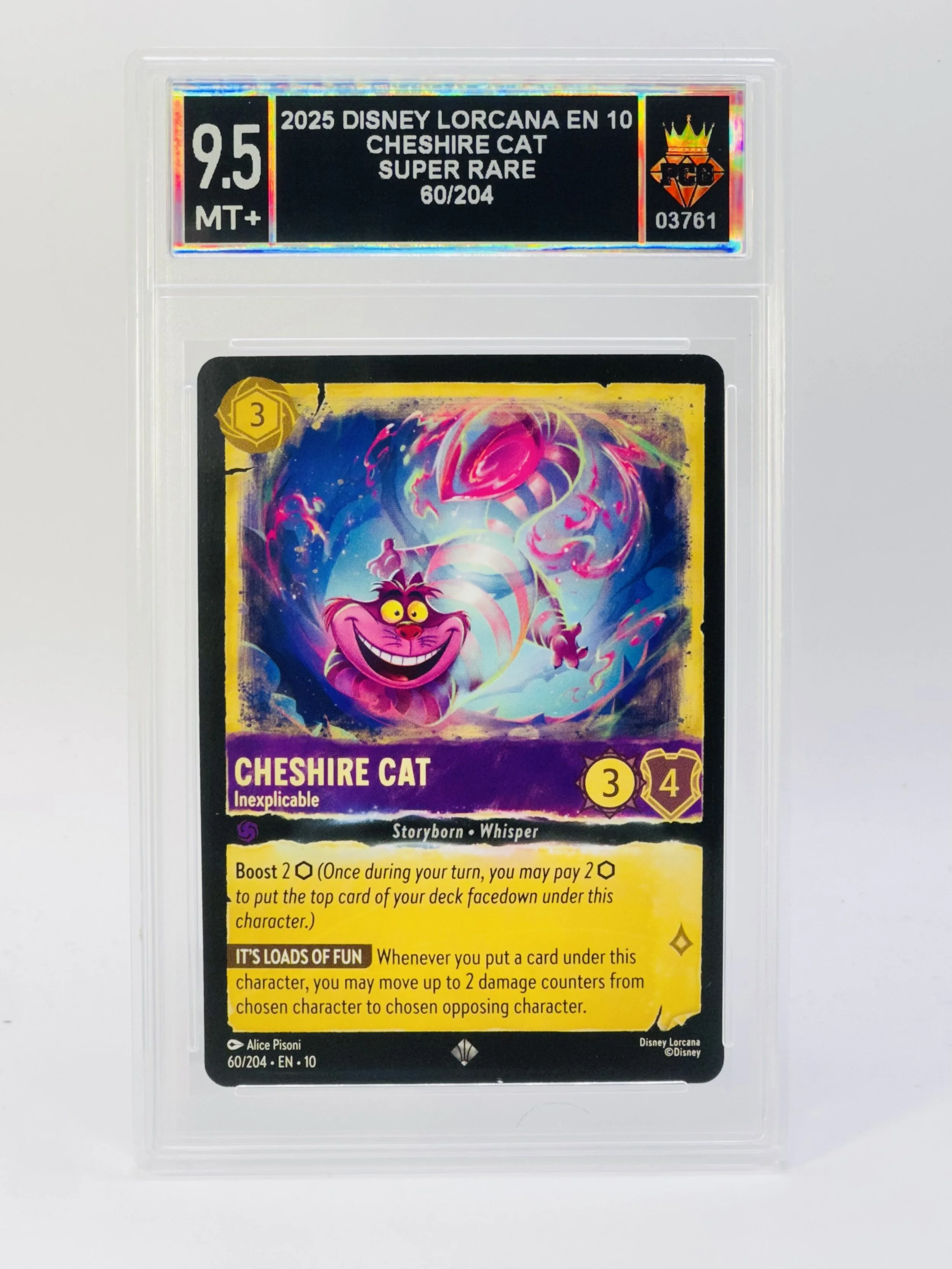 #20260003761 2025 CHESHIRE CAT 9.5 MT+