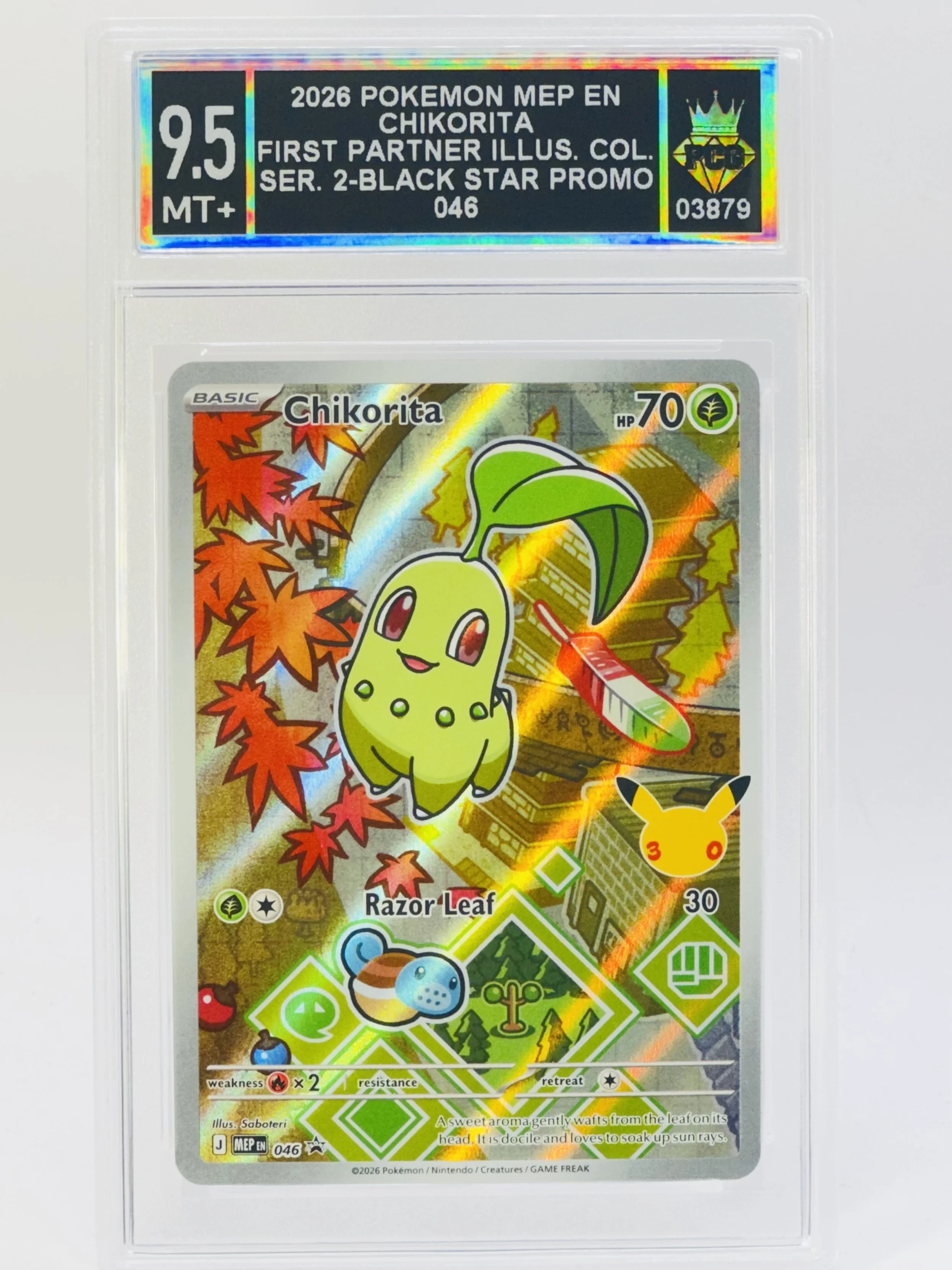 #20260003879 2026 CHIKORITA 9.5 MT+