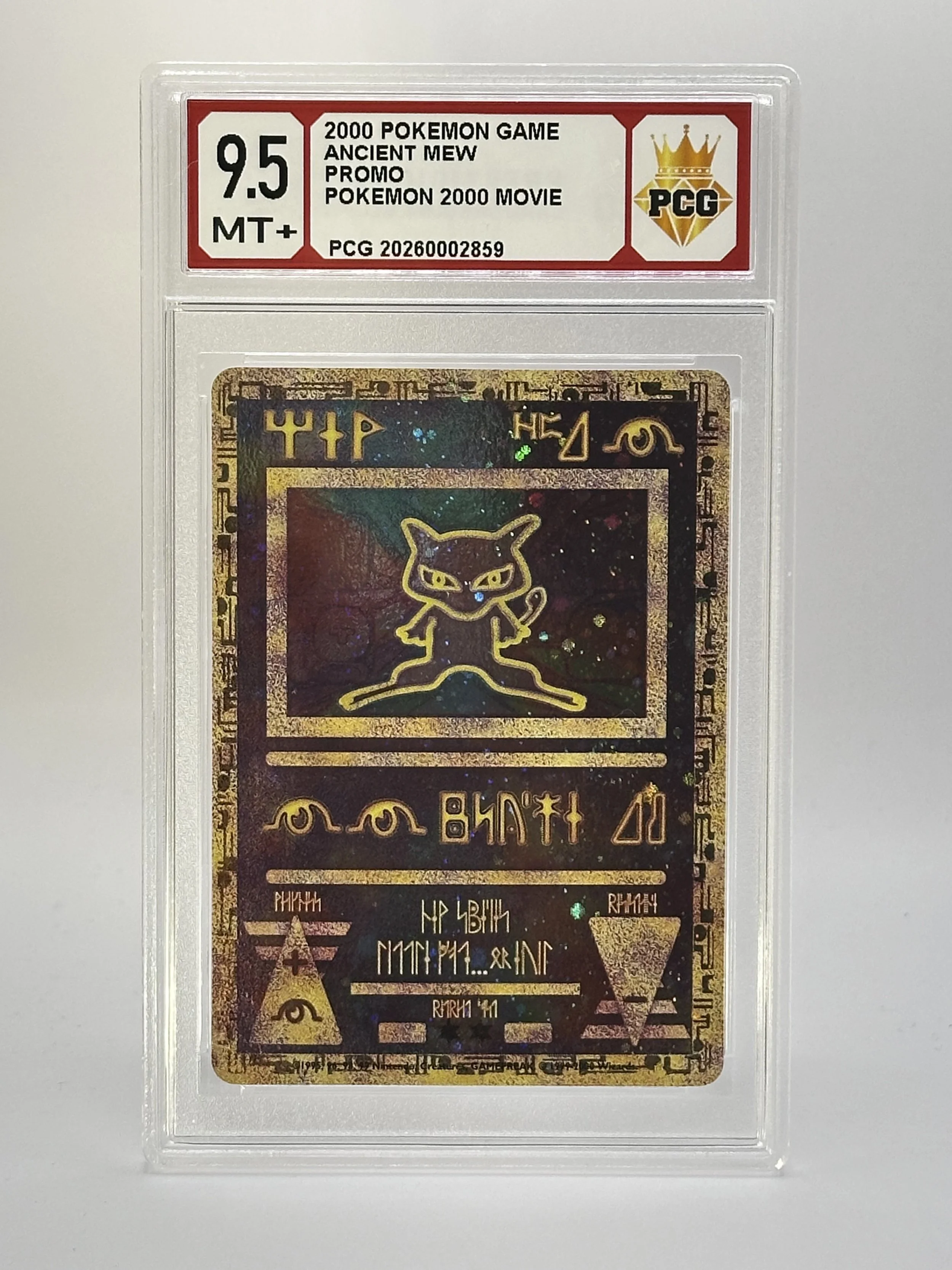 #20260002859 2000 ANCIENT MEW 9 MT