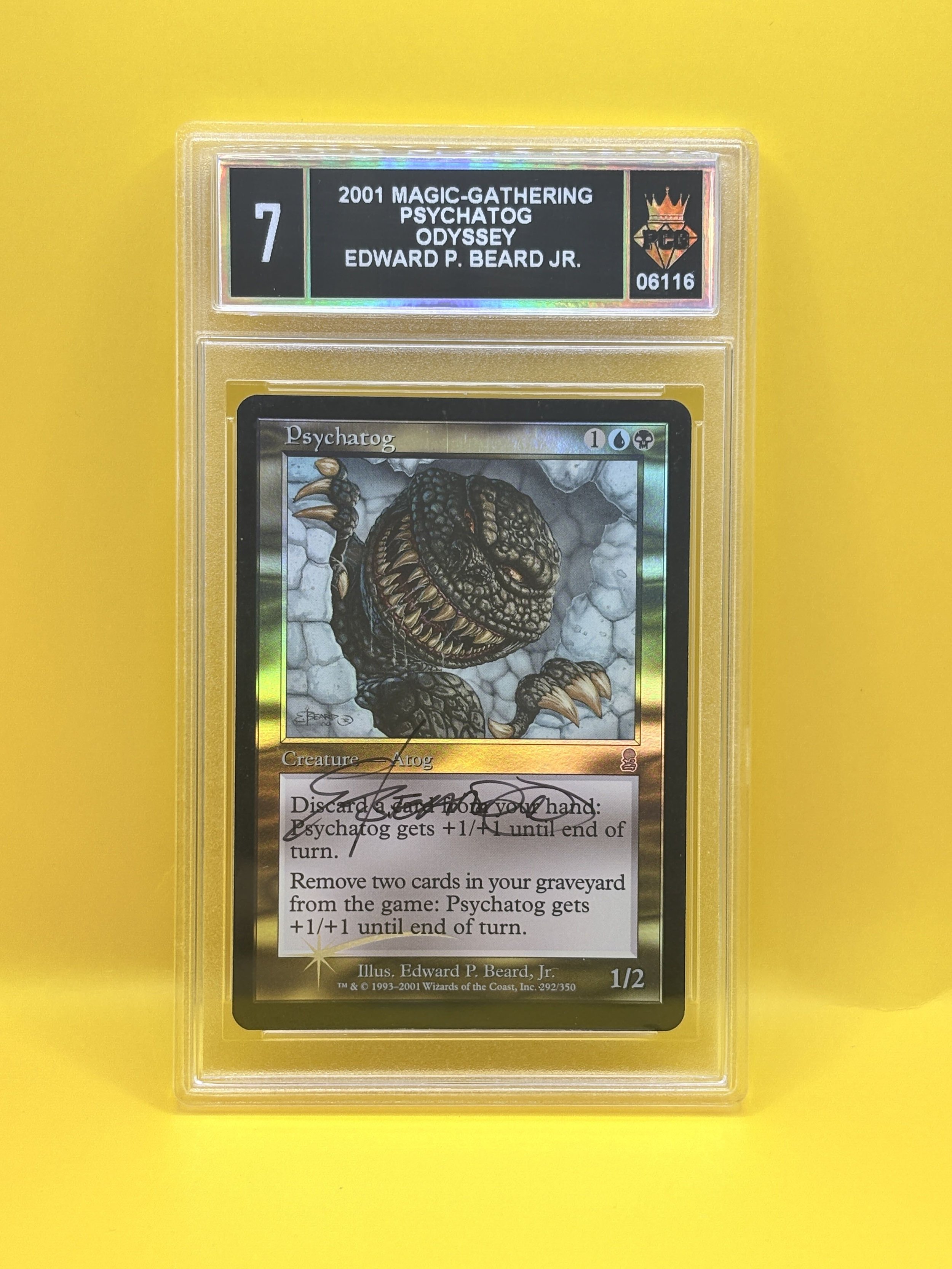 #06116 2001 PSYCHATOG 7