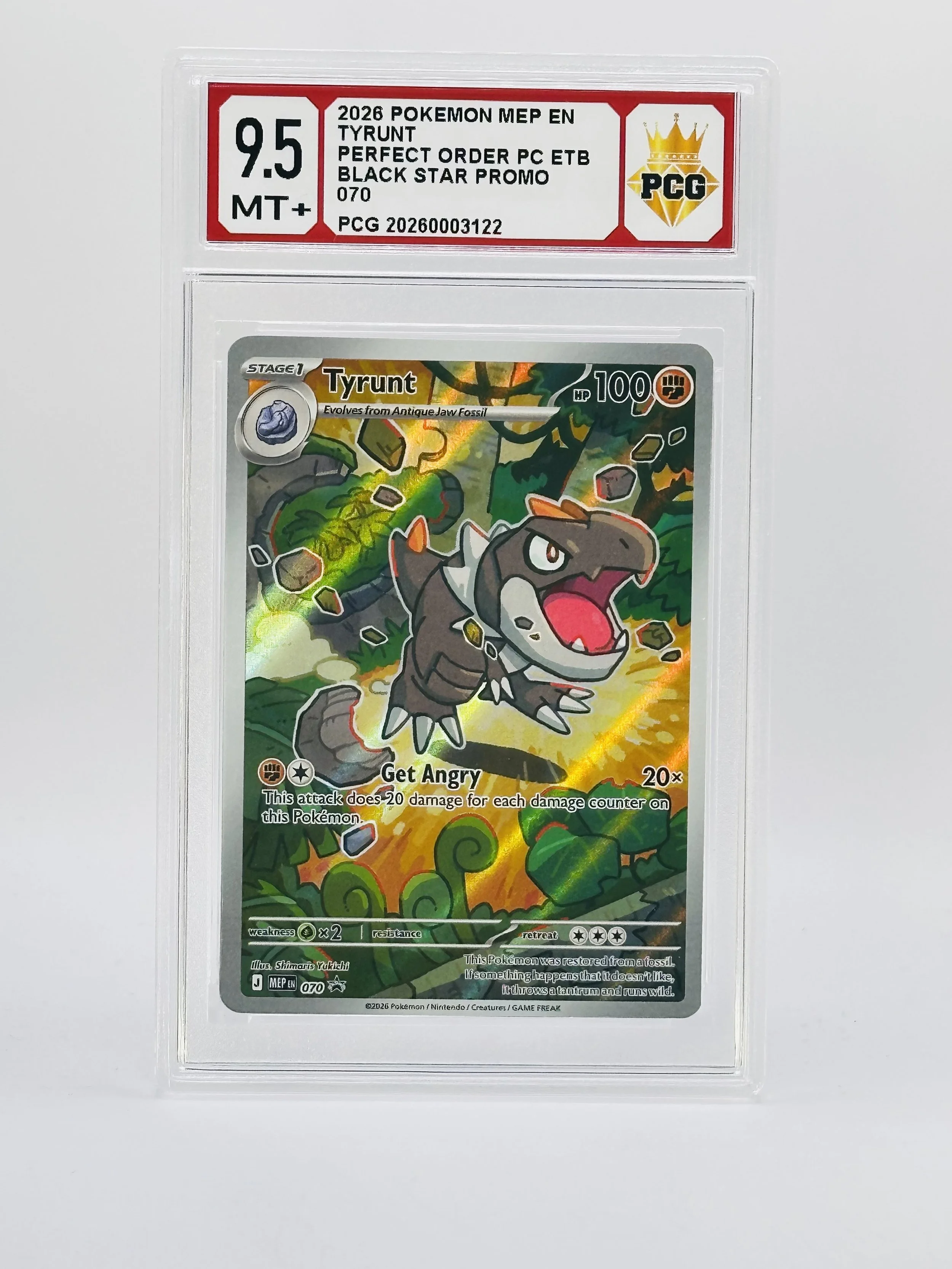 #20260003122 2026 TYRUNT 9.5 MT+