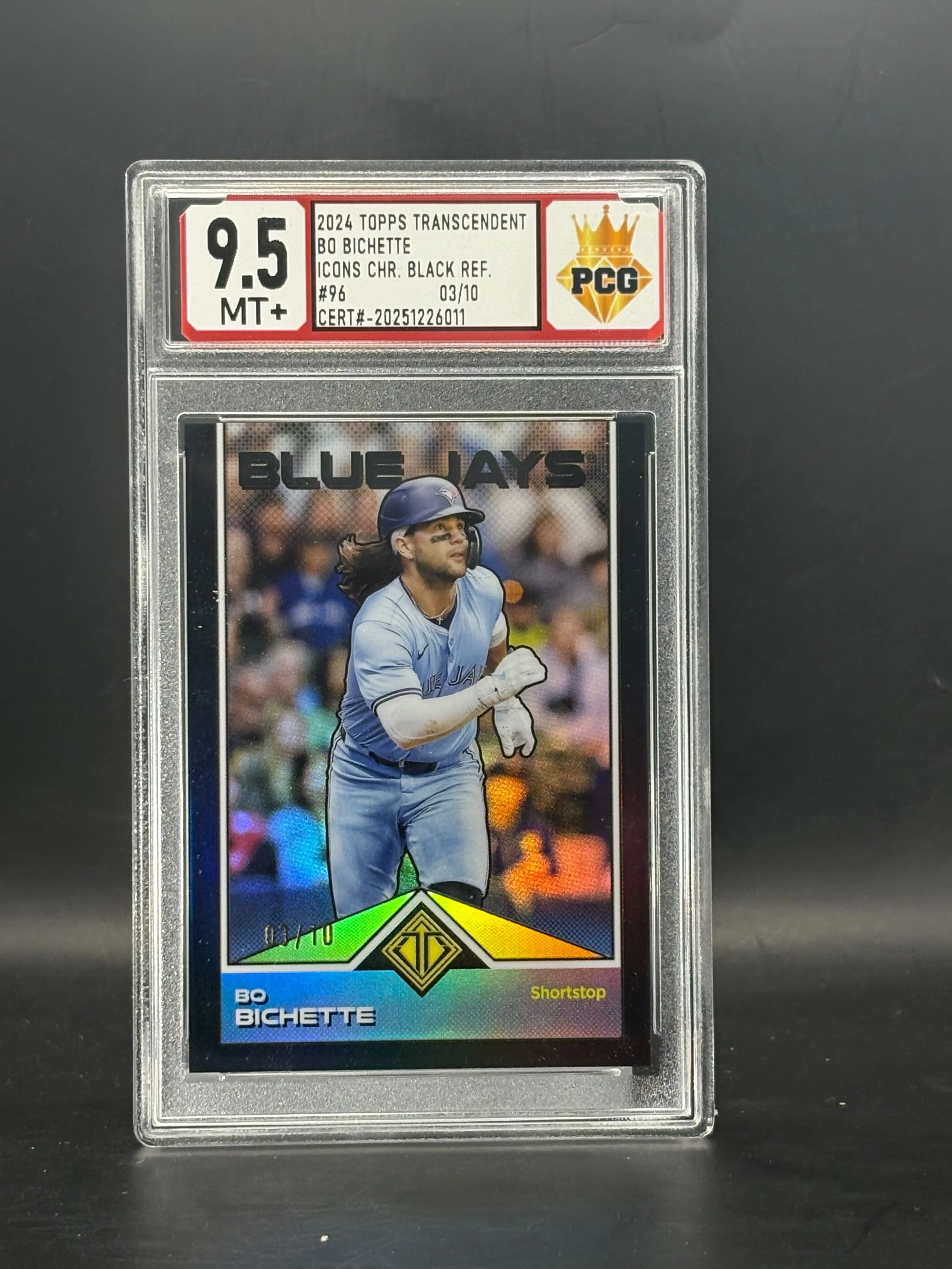 #20251226011 2024 BO BICHETTE 9.5 MT+