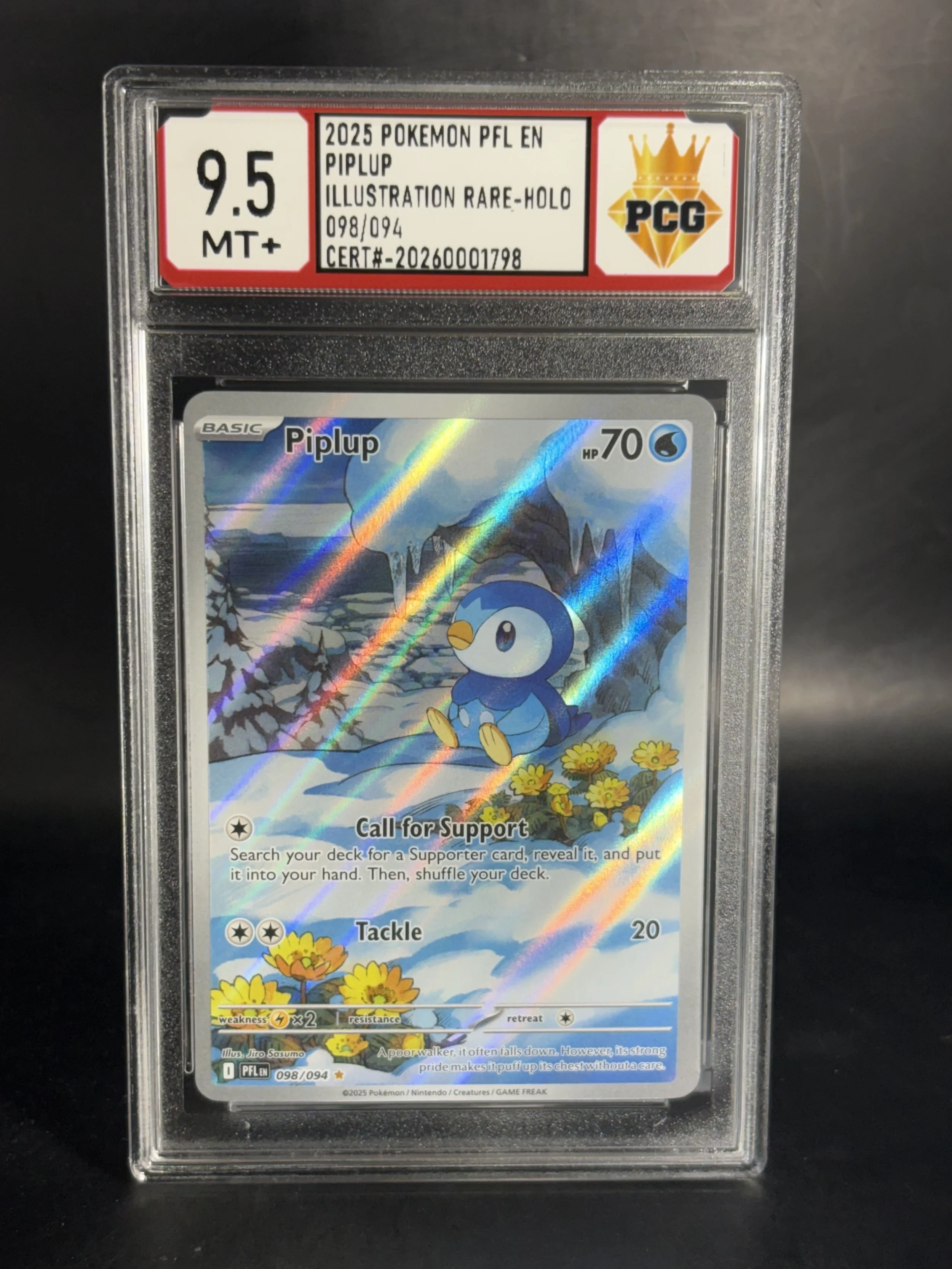 #20260001798 2025 PIPLUP 9.5 MT+