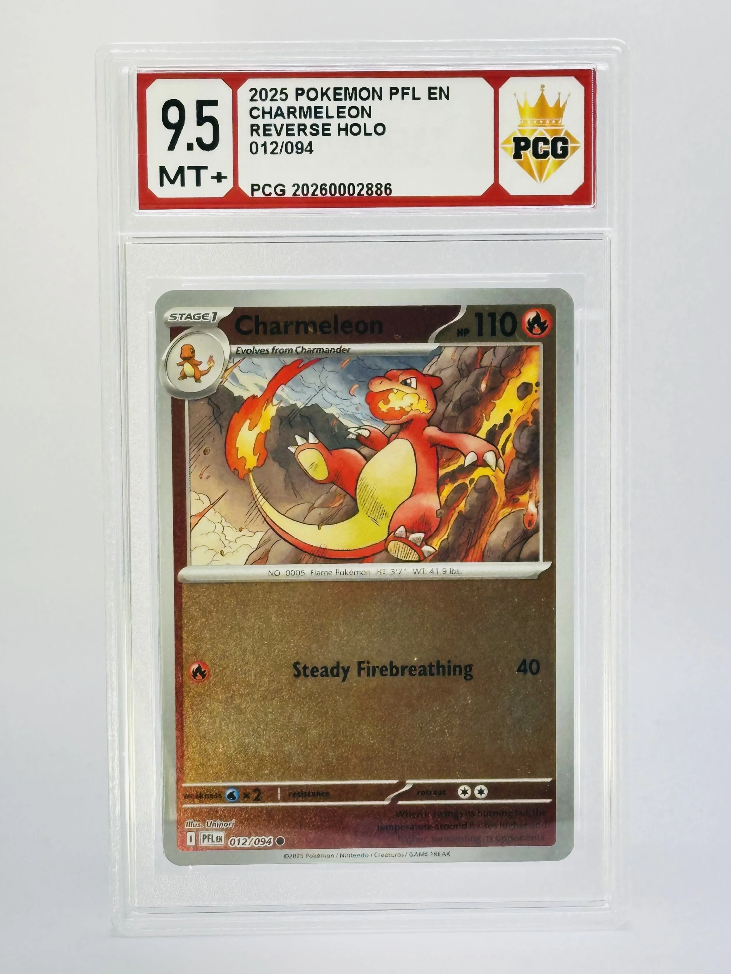 #20260002886 2025 CHARMELEON 9.5 MT+