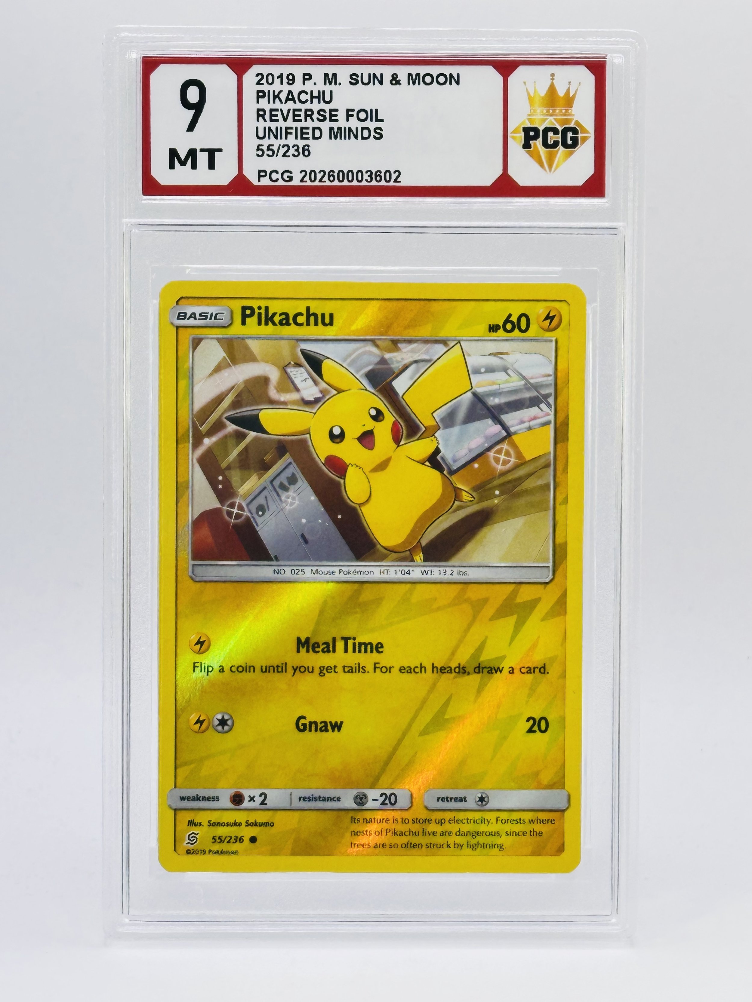 #20260003602 2019 PIKACHU 9 MT