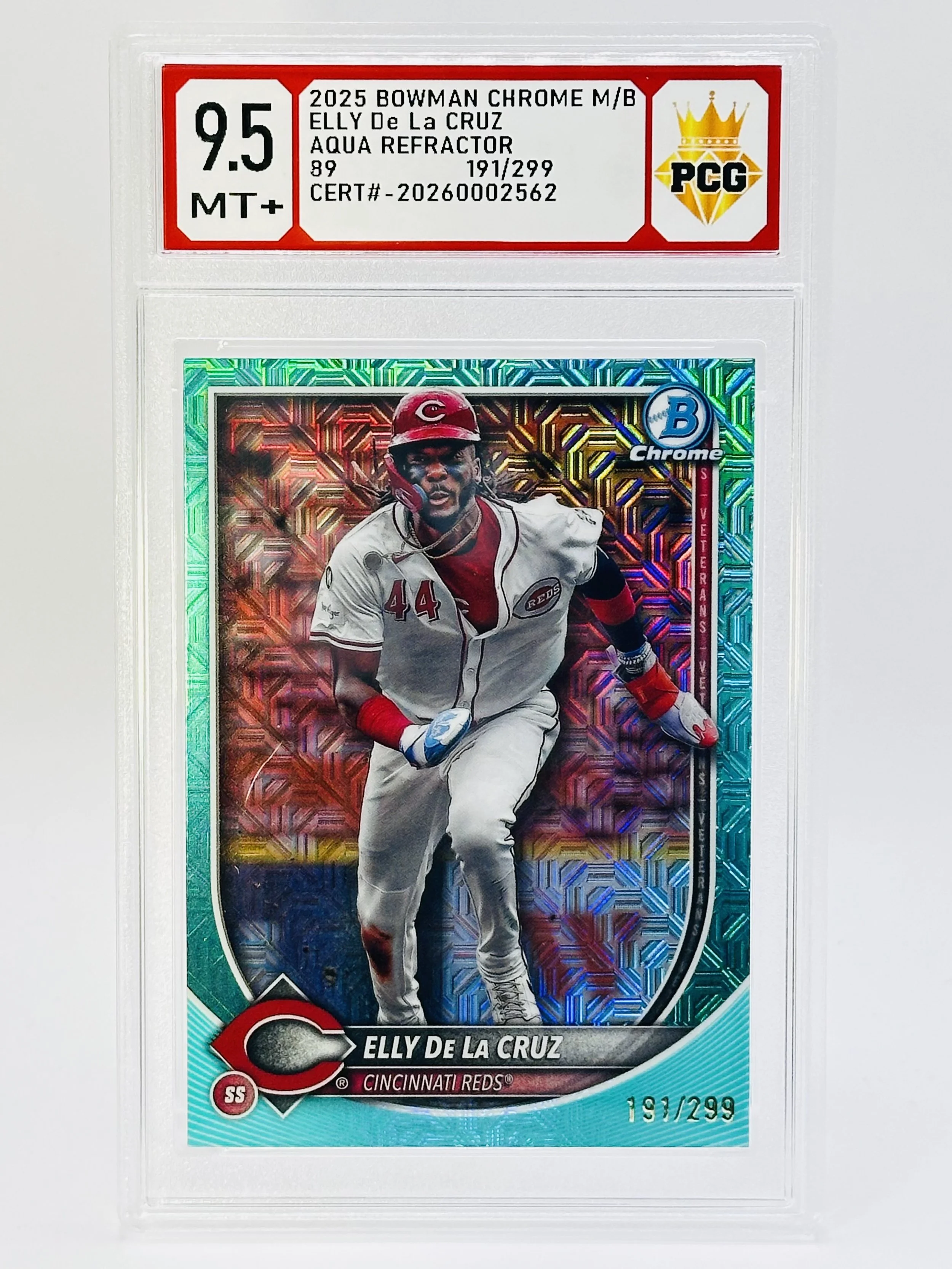#20260002562 2025 ELLY DE LA CRUZ 9.5 MT+