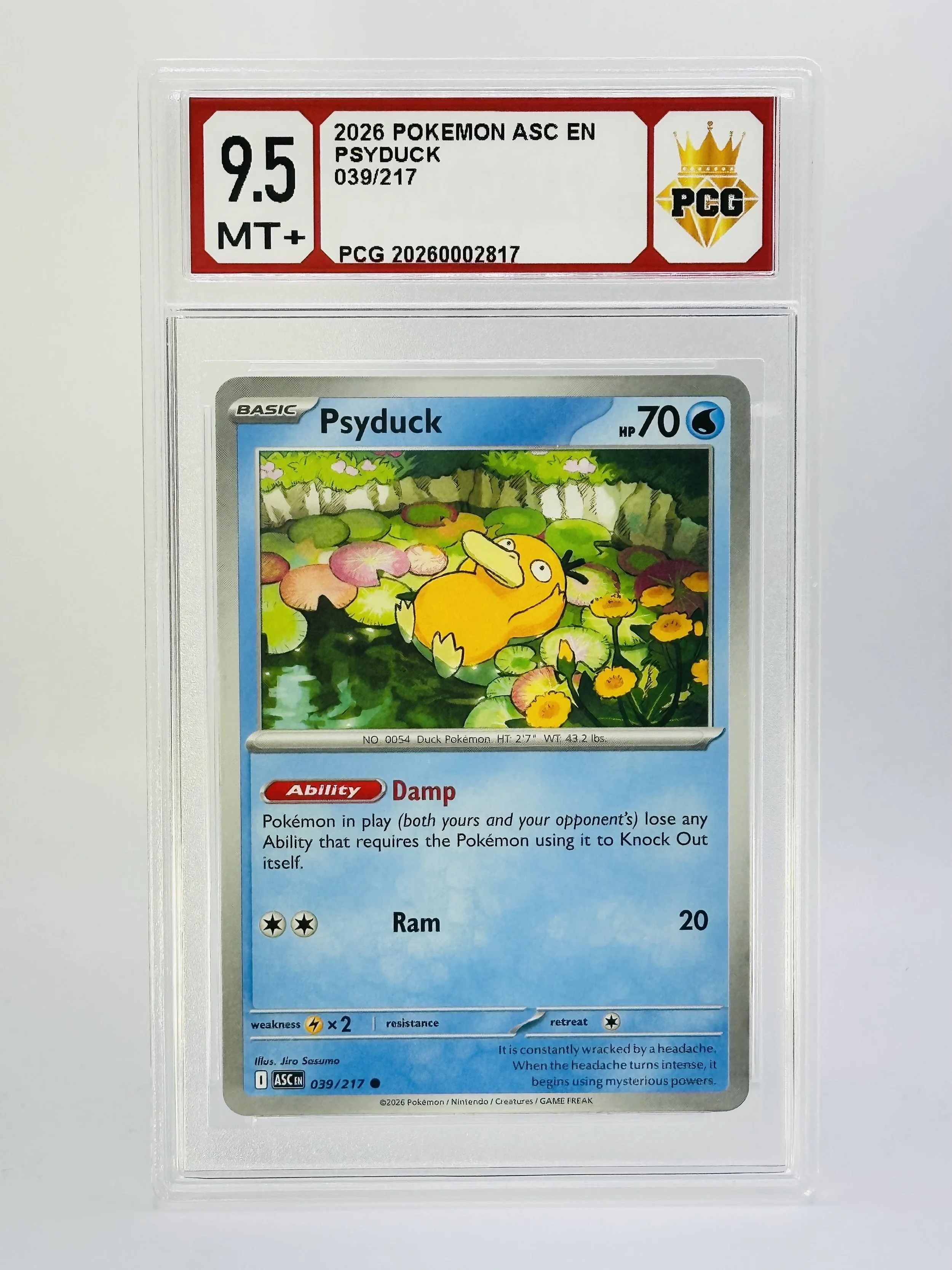 #20260002817 2026 PSYDUCK 9.5 MT+