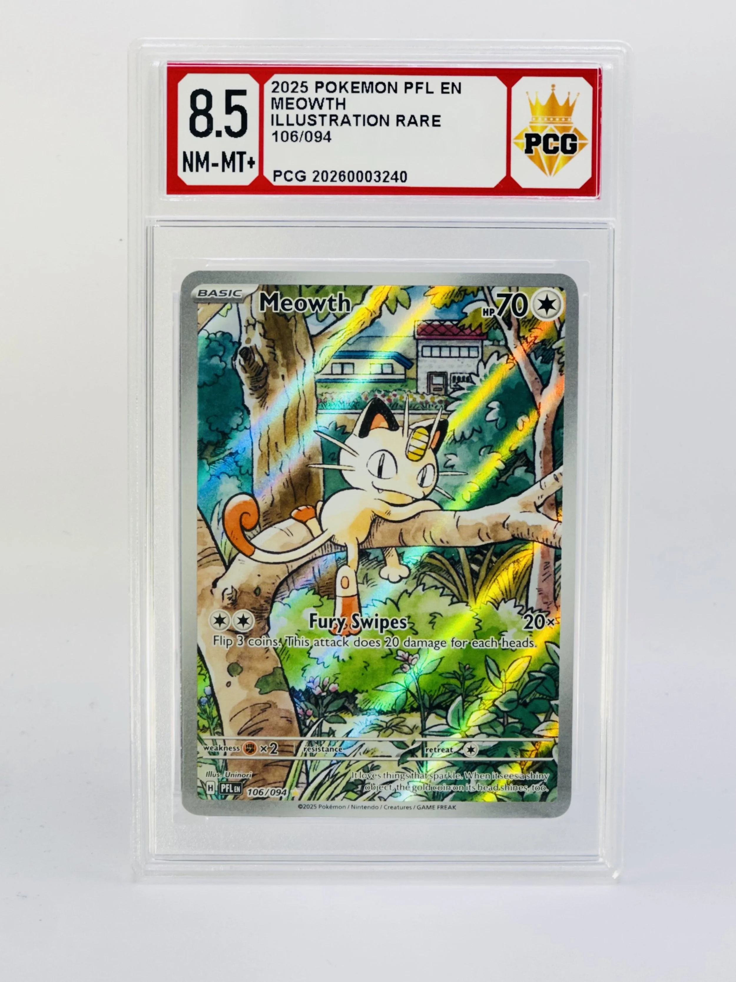 #20250003240 2025 MEOWTH 8.5 NM-MT+
