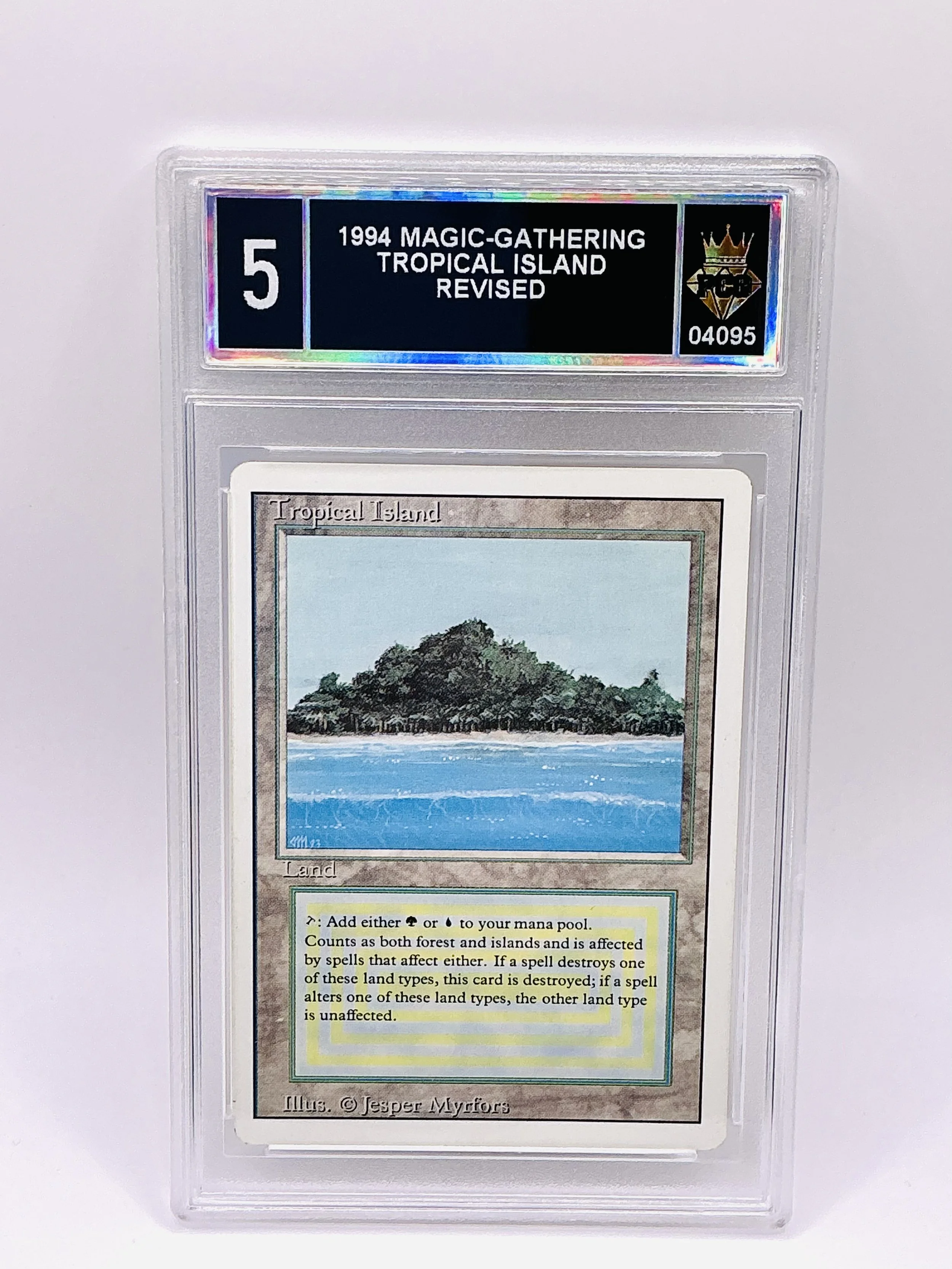 #20260004095 1994 TROPICAL ISLAND 5