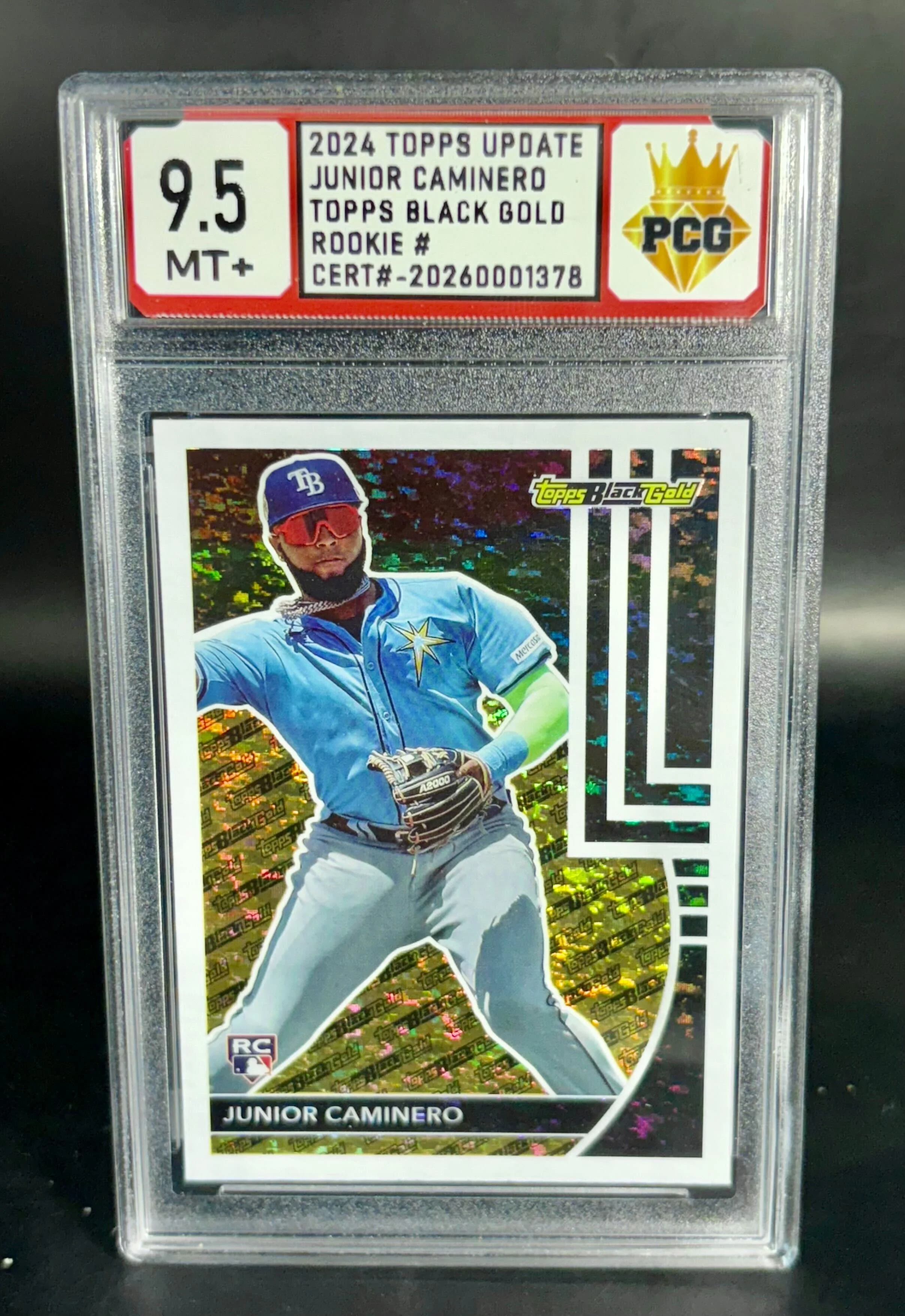 #20260001378 2024 JUNIOR CAMINERO 9.5 MT+