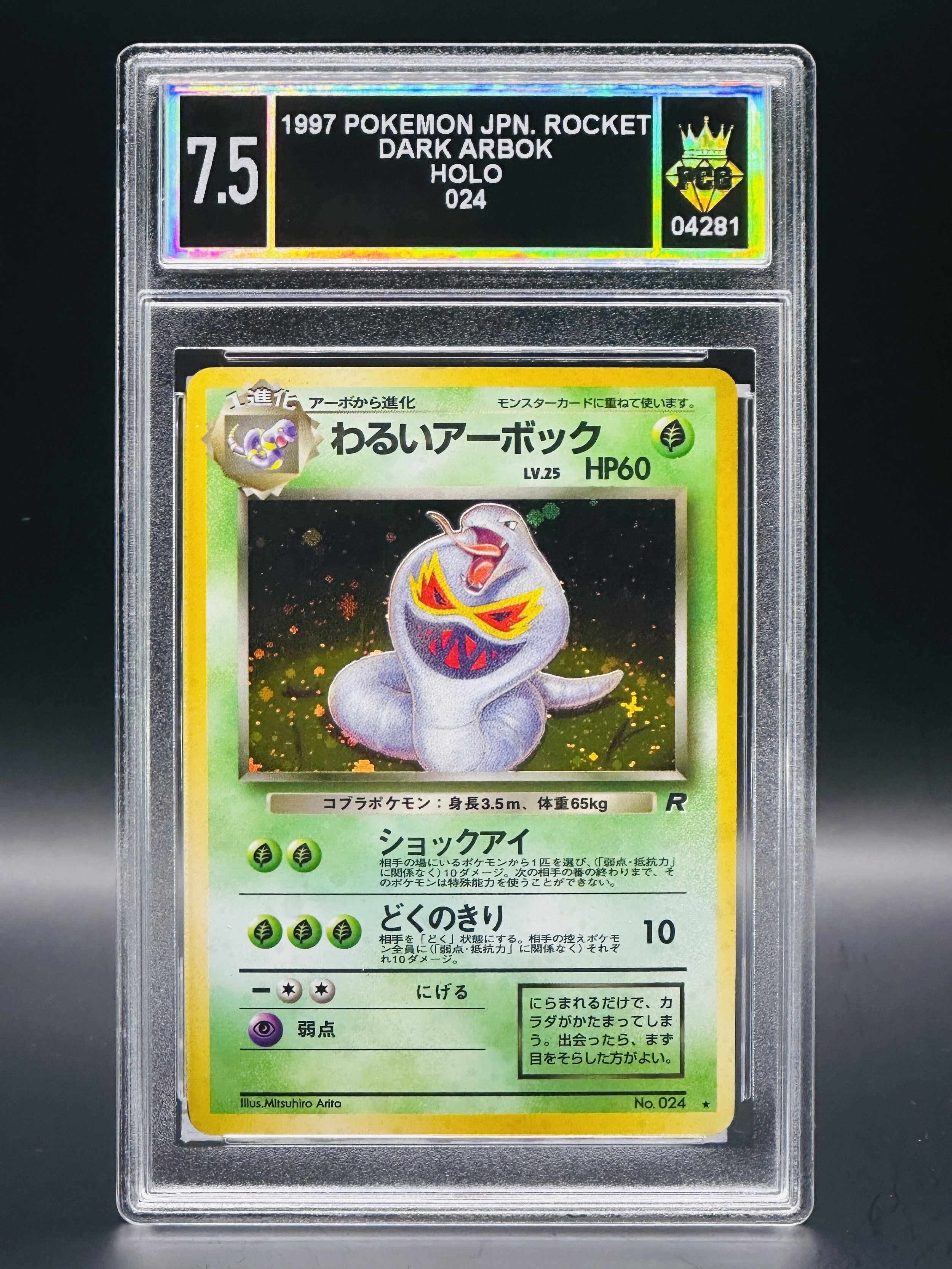 #04281 1997 DARK ARBOK 7.5
