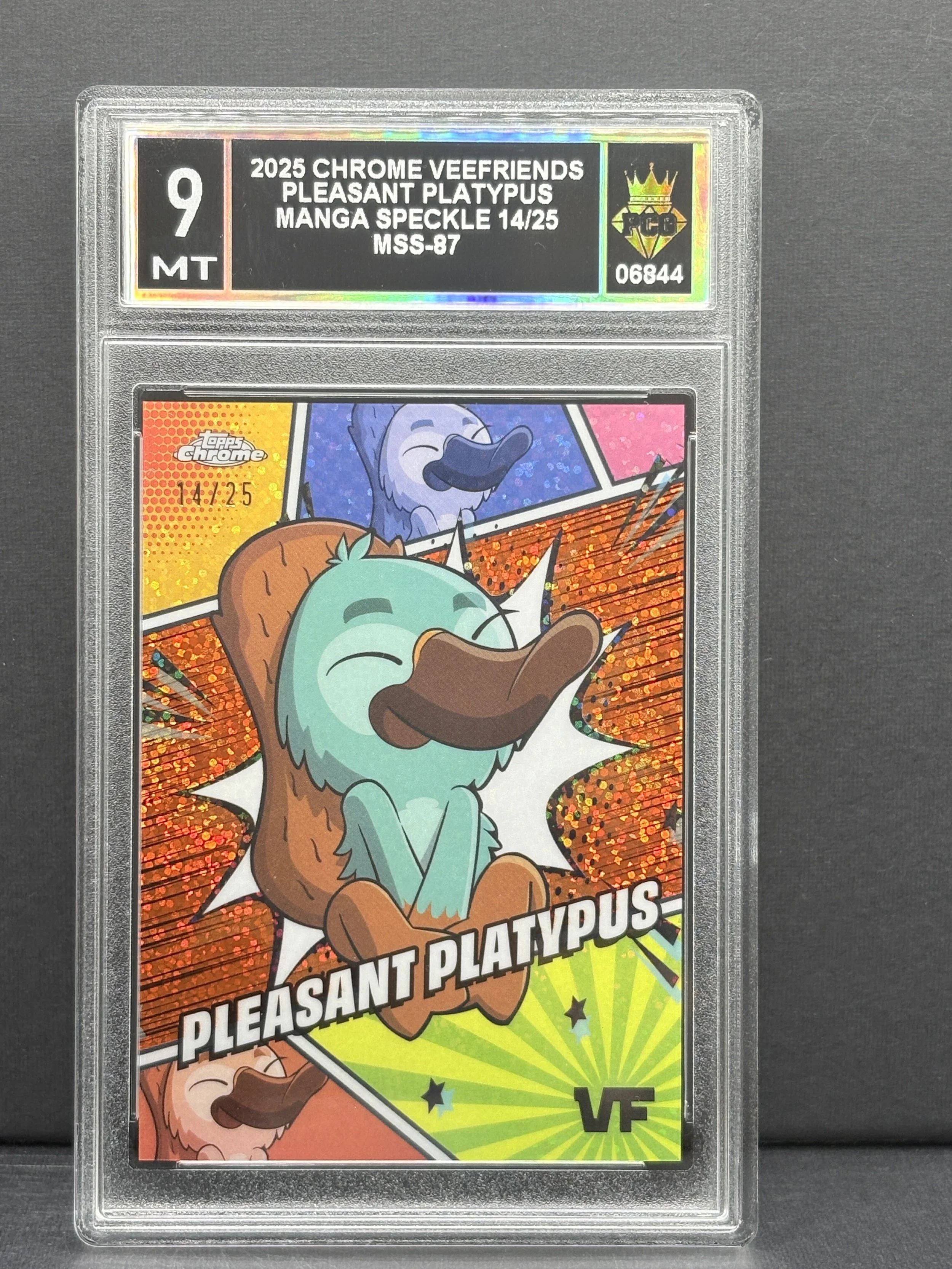 #06844 2025 PLEASANT PLATYPUS 9 MT