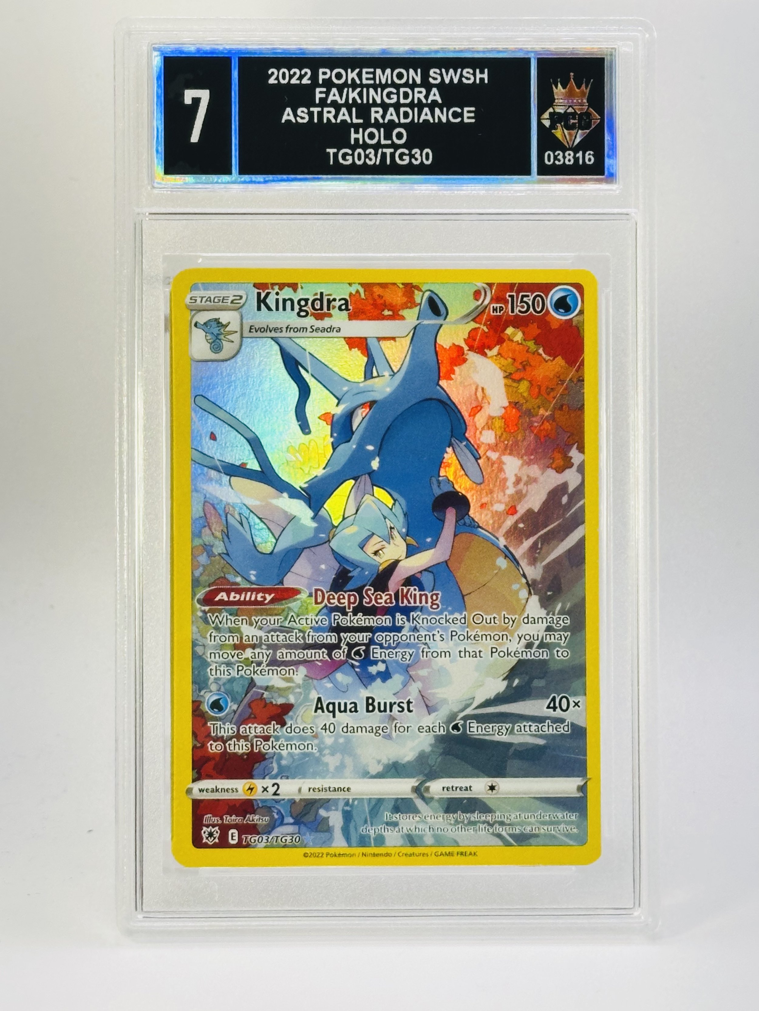 #20260003816 2022 FA/KINGDRA 7