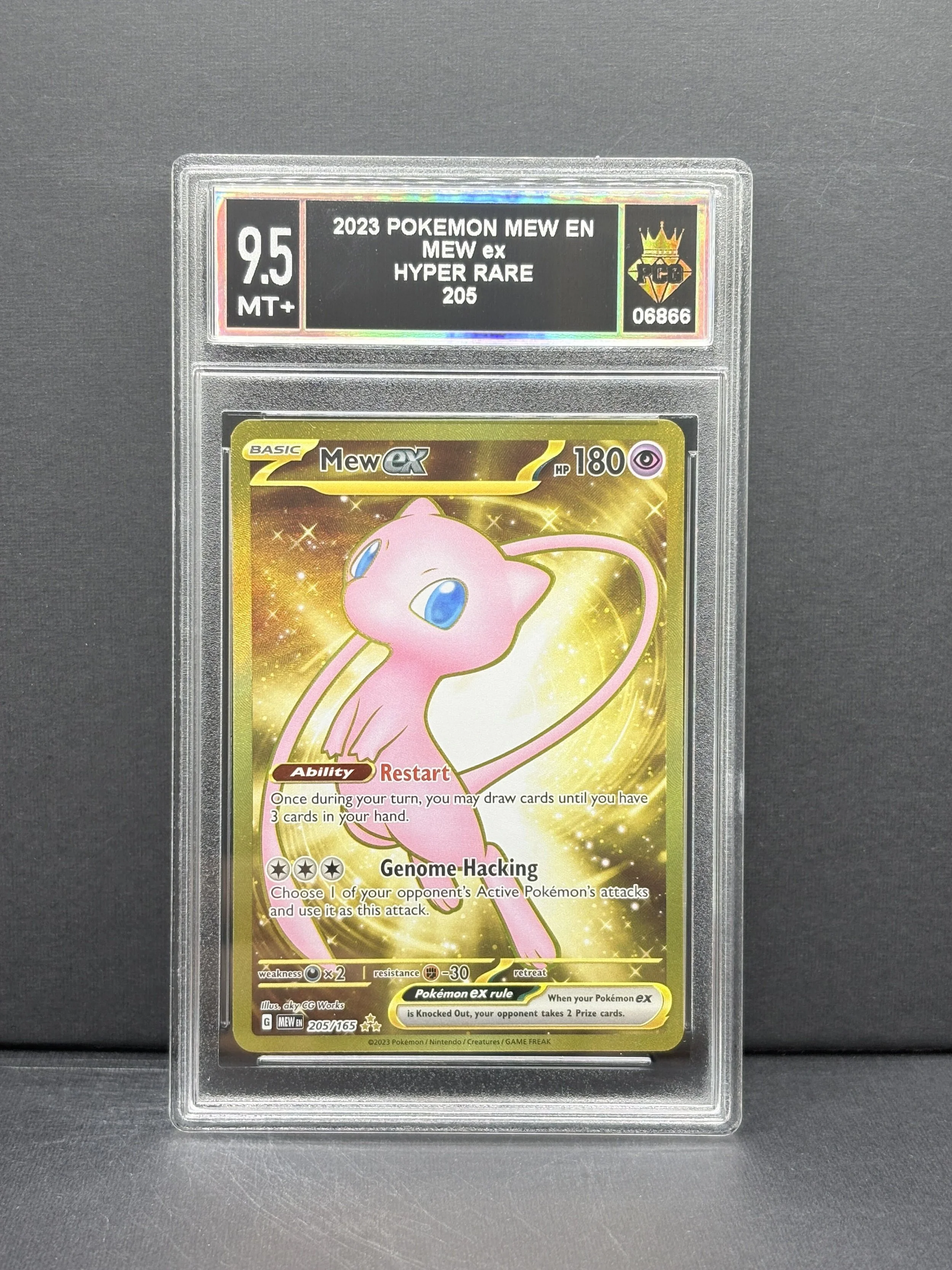 #06866 2023 MEW EX 9.5 MT+