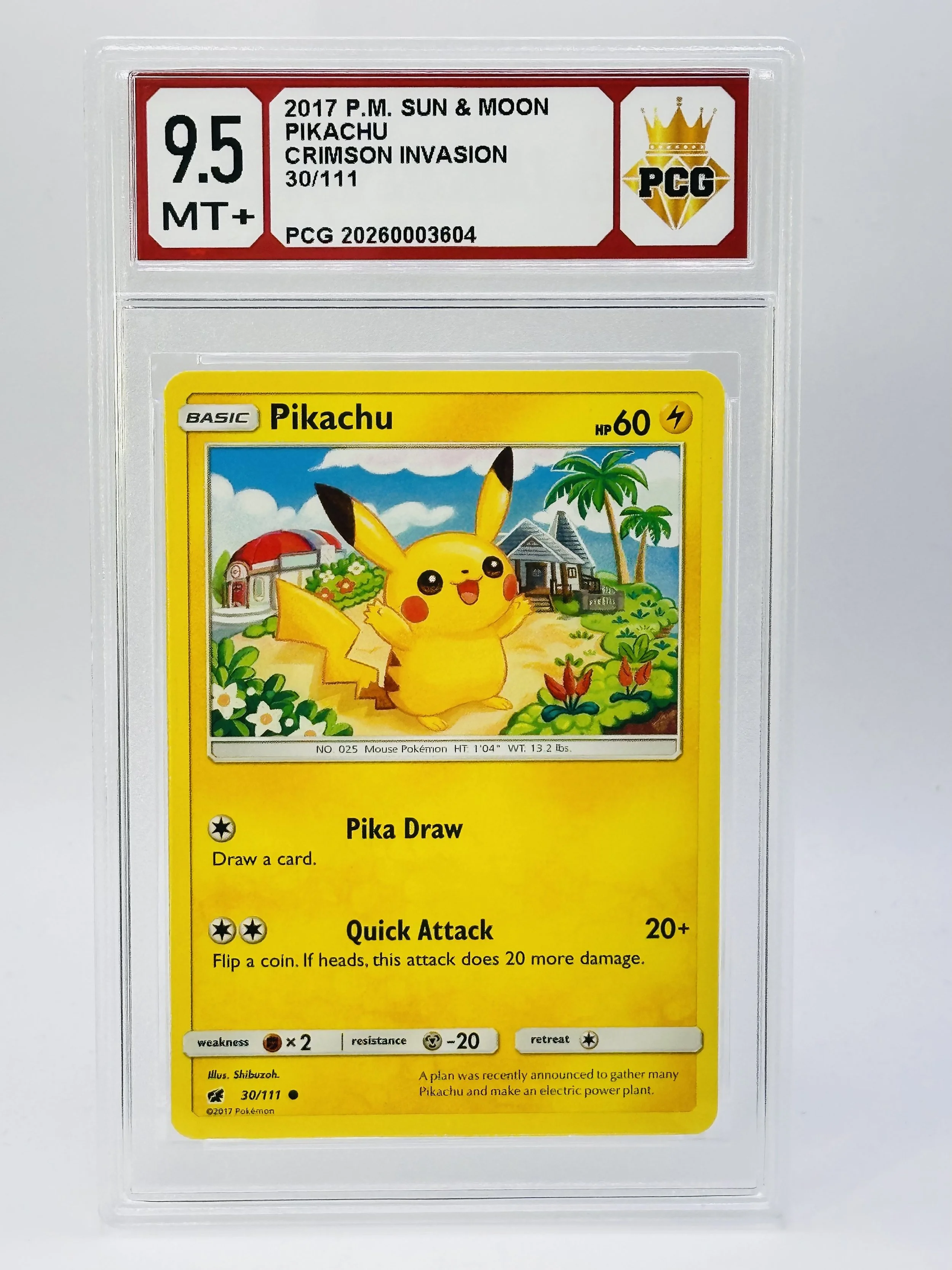 #20260003604 2017 PIKACHU 9.5 MT+