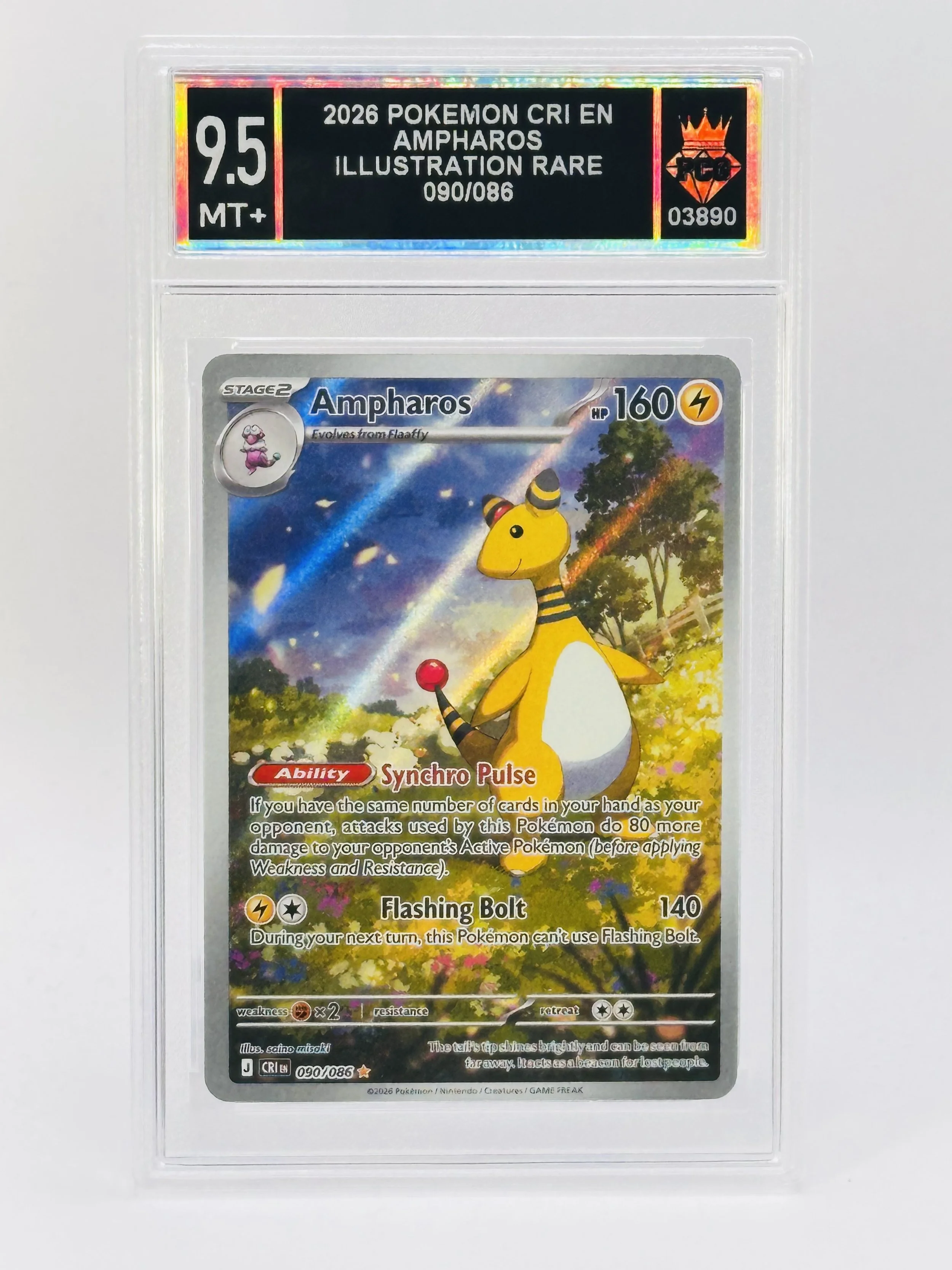 #20260003890 2026 AMPHAROS 9.5 MT+