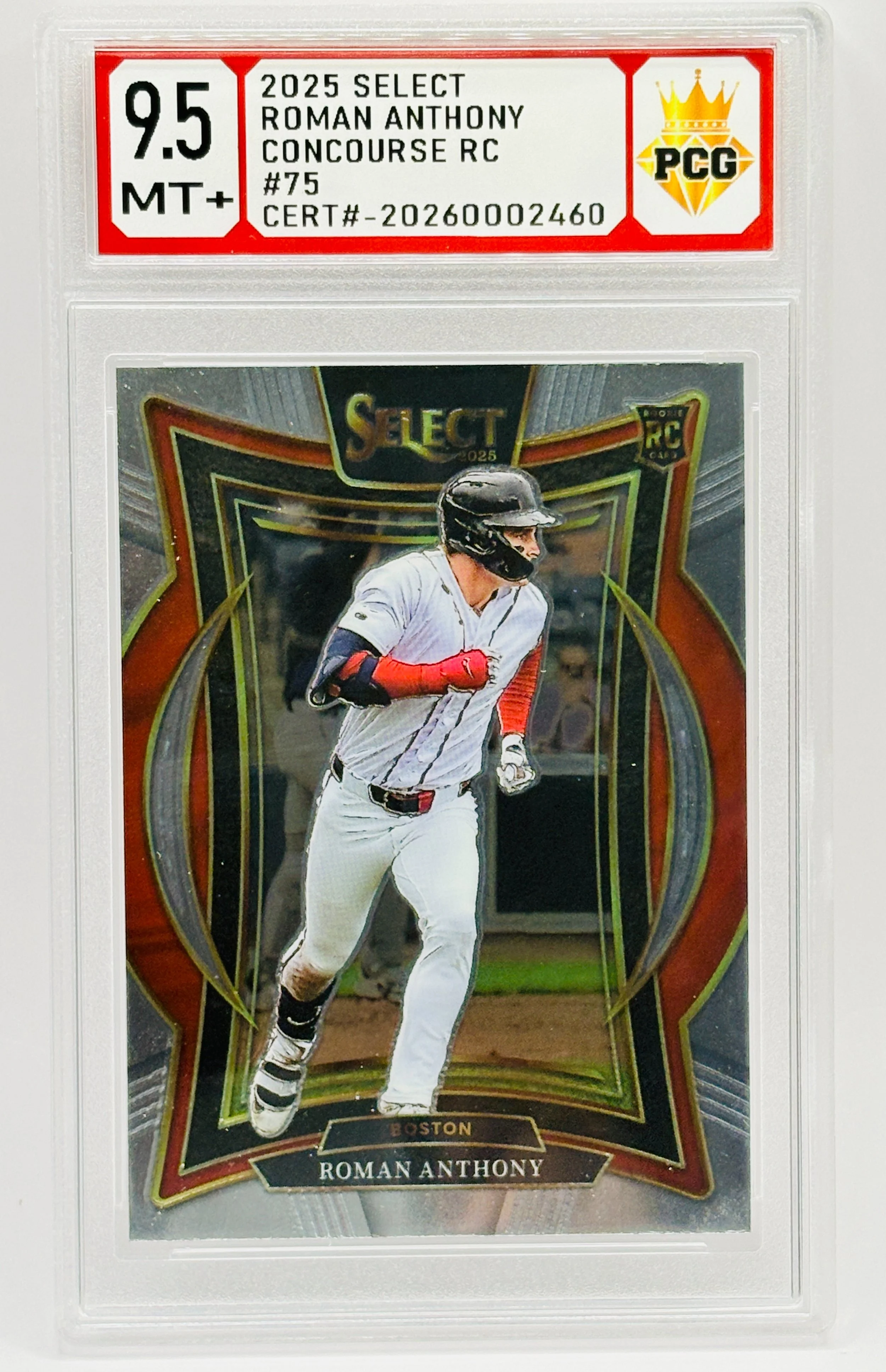 #20260002460 2025 ROMAN ANTHONY RC 9.5 MT+