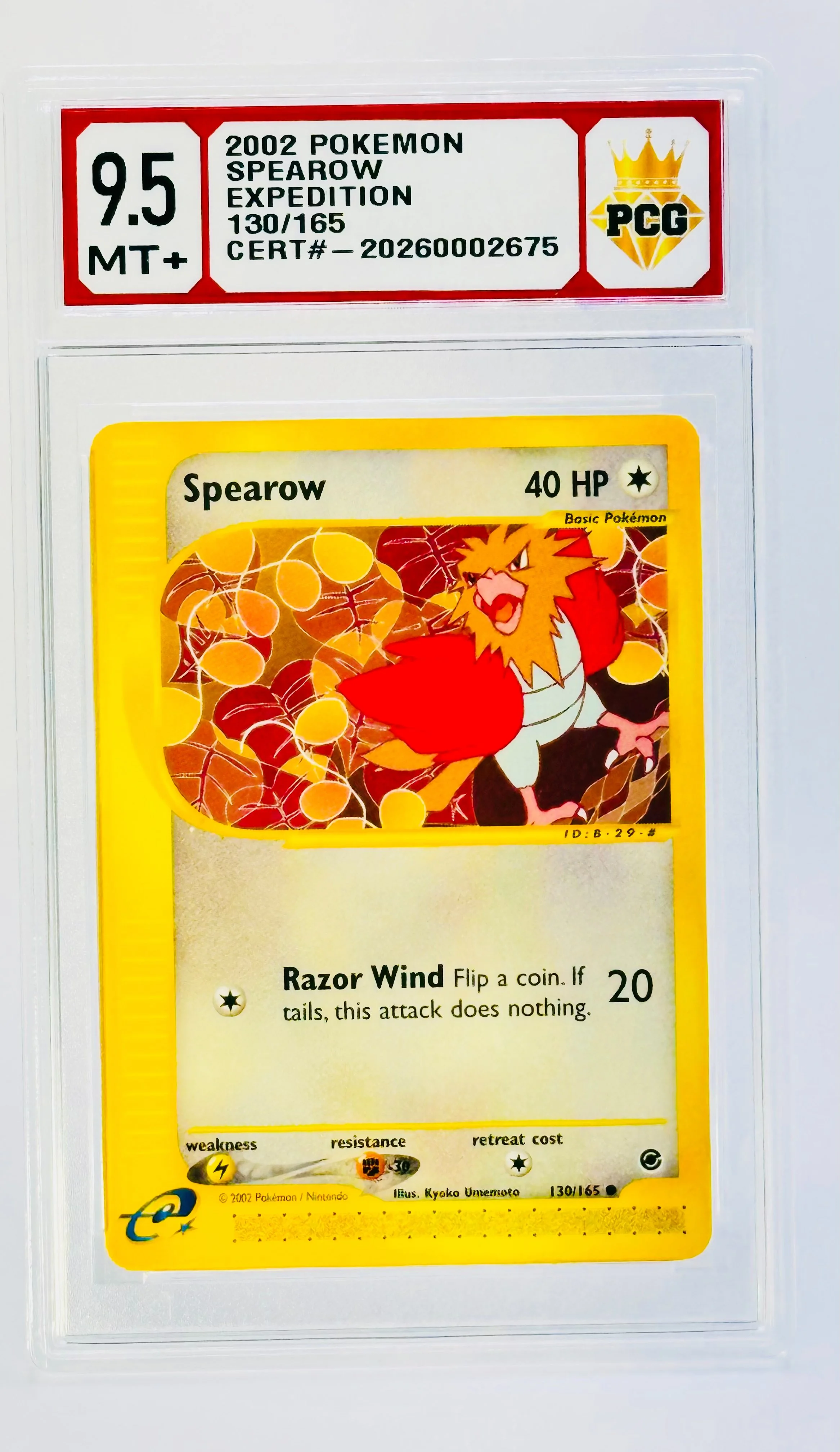 #20260002675 2002 SPEAROW 9.5 MT+