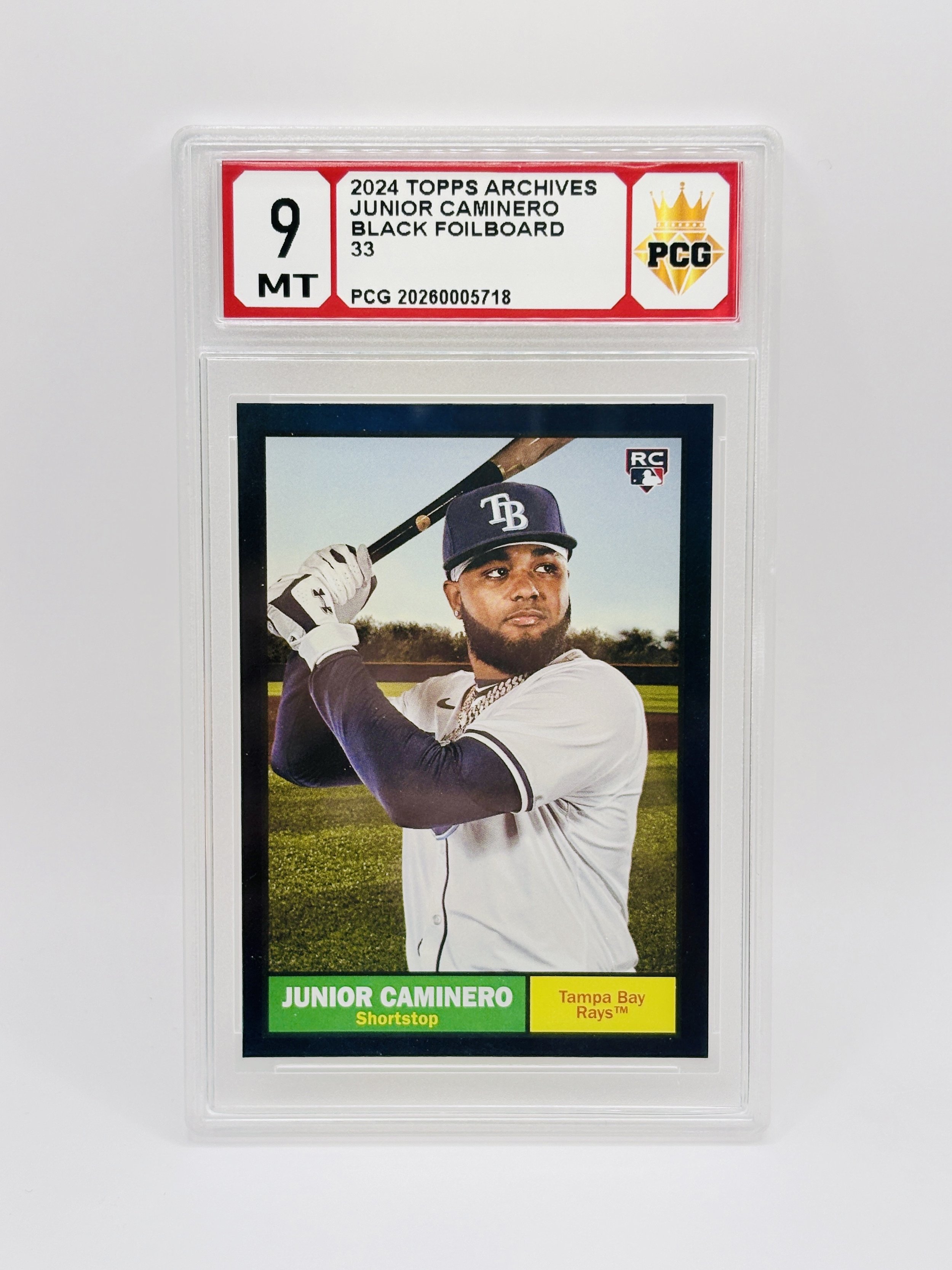 #20260005718 2024 JUNIOR CAMINERO 9 MT