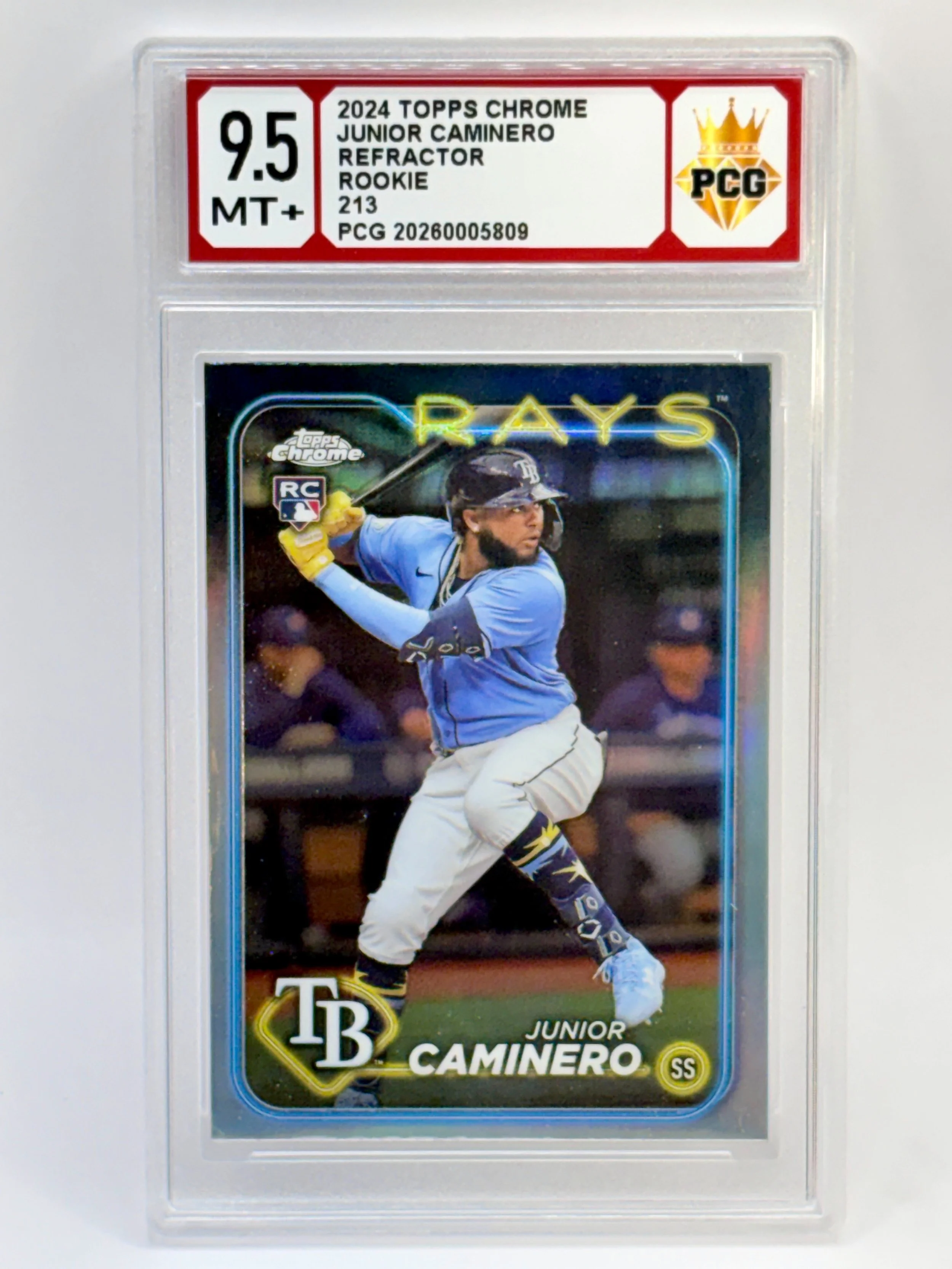 #20260005809 2024 JUNIOR CAMINERO 9.5 MT+