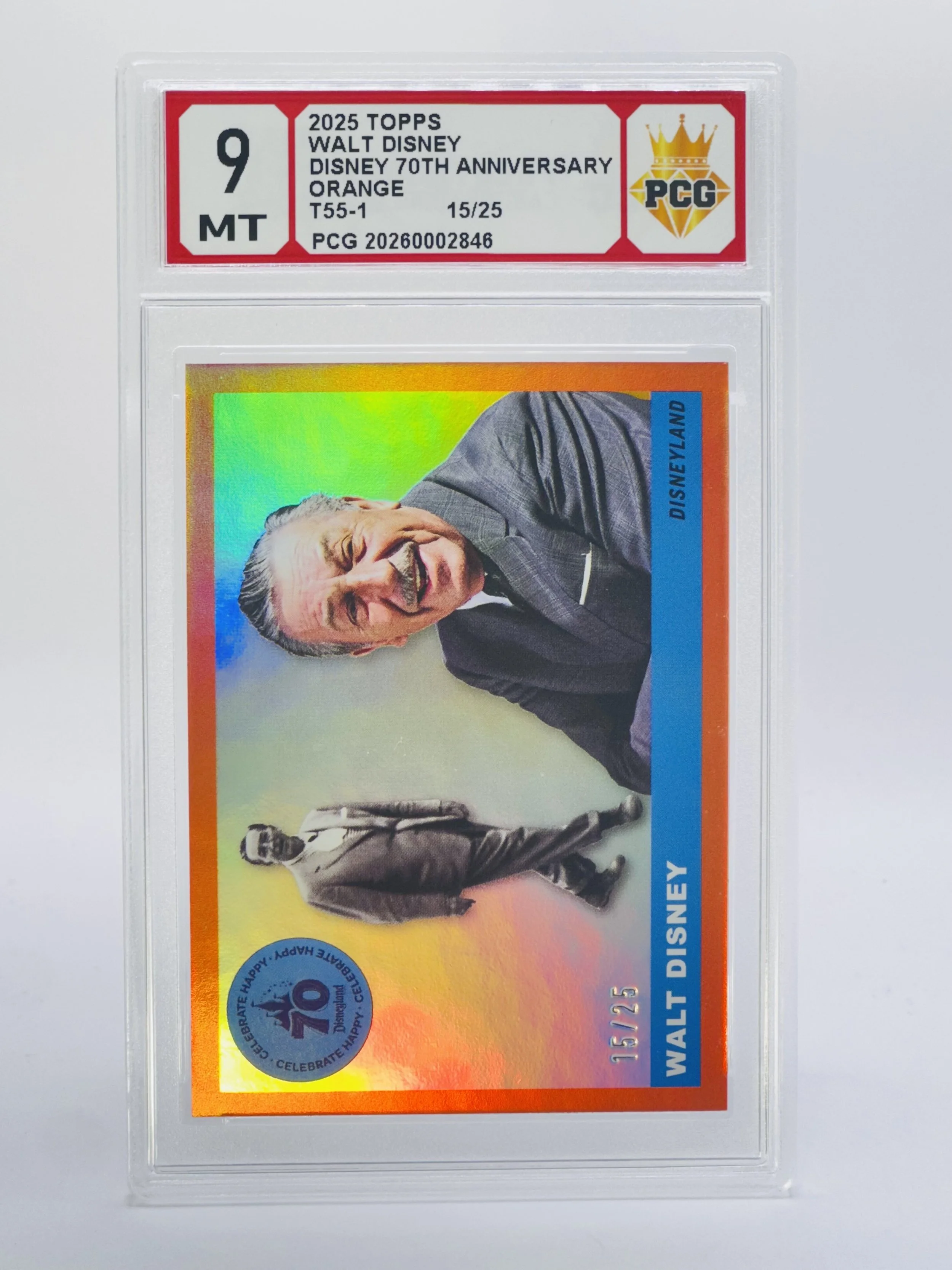 #20260002846 2025 WALT DISNEY 9 MT