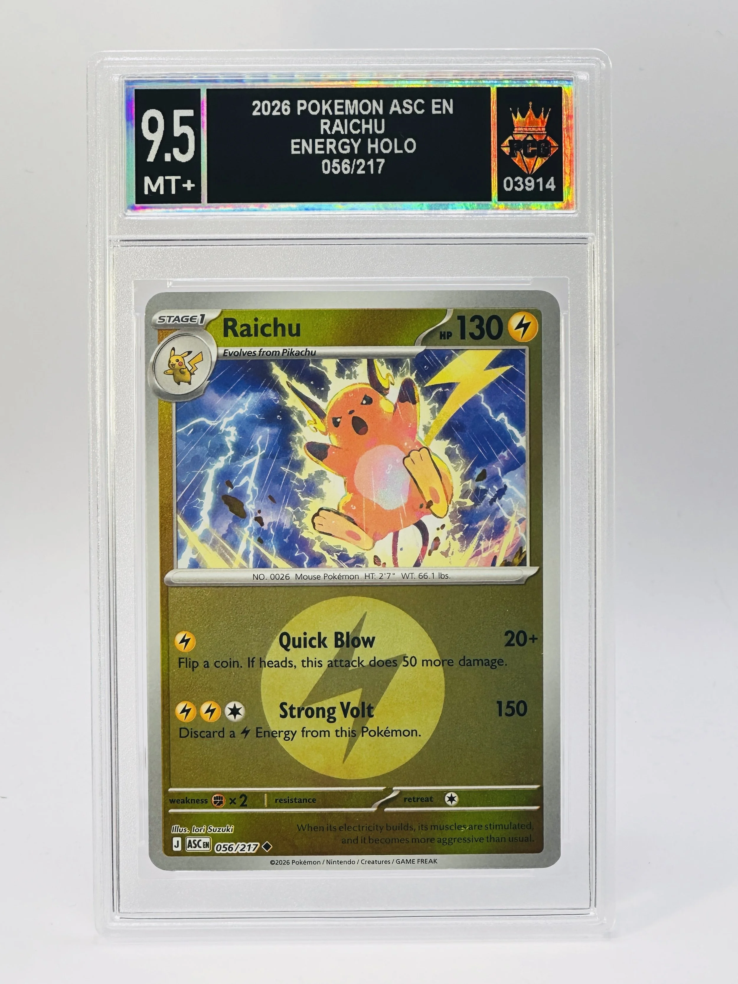 #20260003914 2026 RAICHU 9.5 MT+.