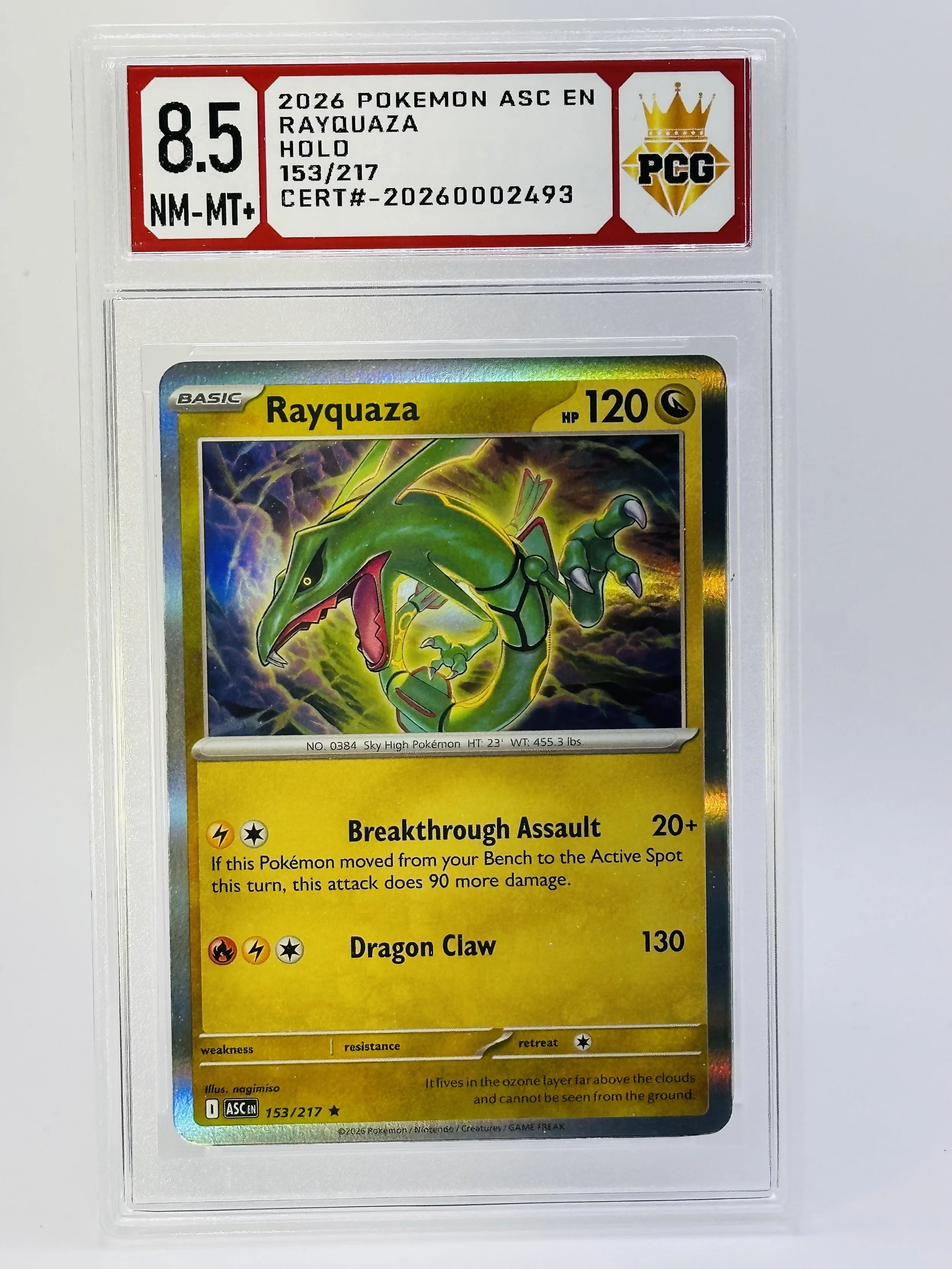 #20260002493 2026 RAQUAZA 8.5 NM-MT+