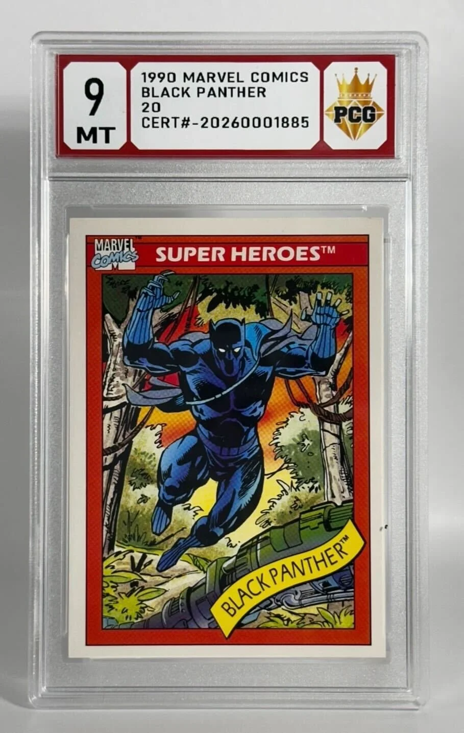 #20260001885 1990 BLACK PANTHER 9 MT