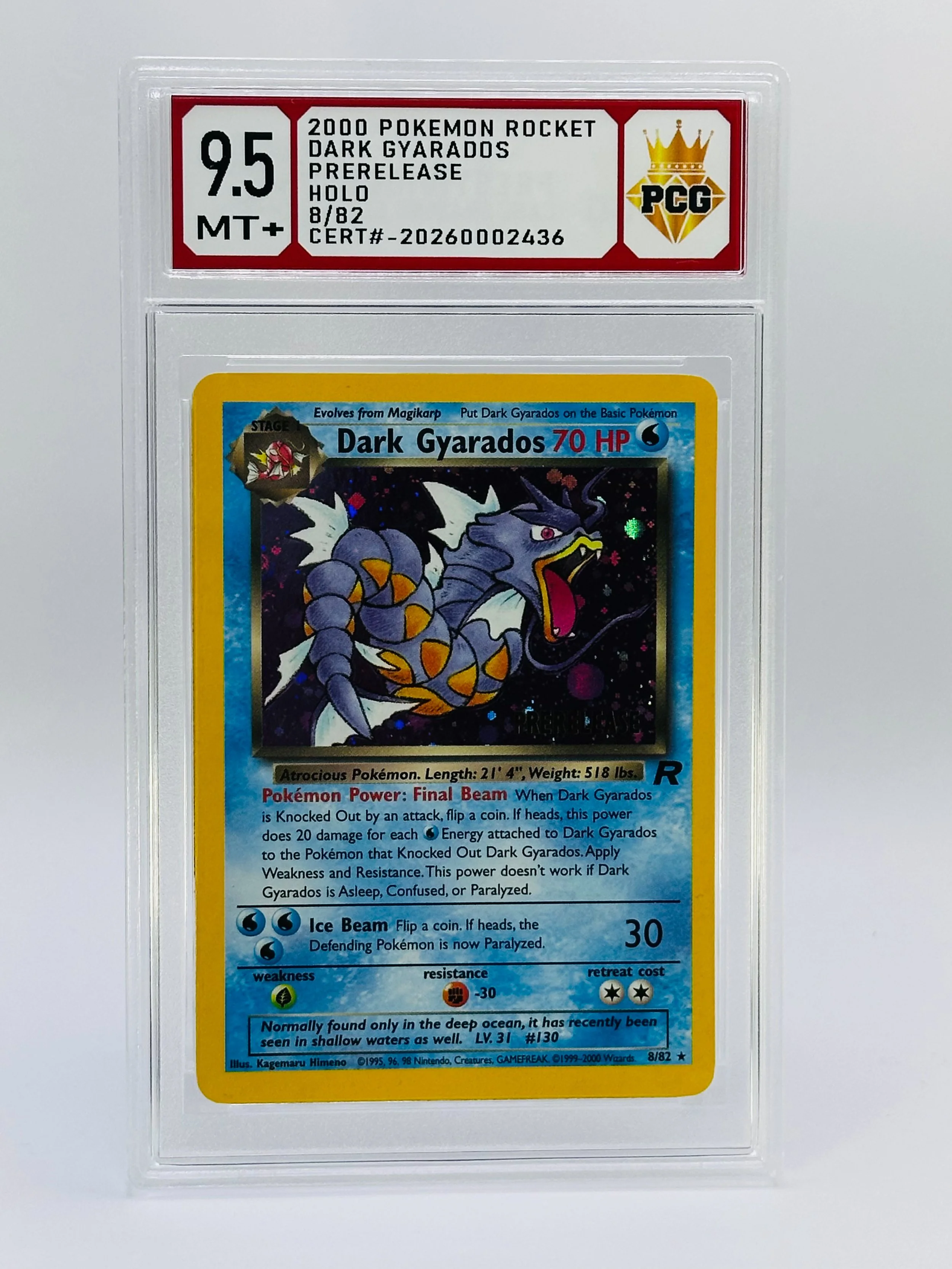 #20260002436 2000 DARK GYARADOS 9.5 MT+