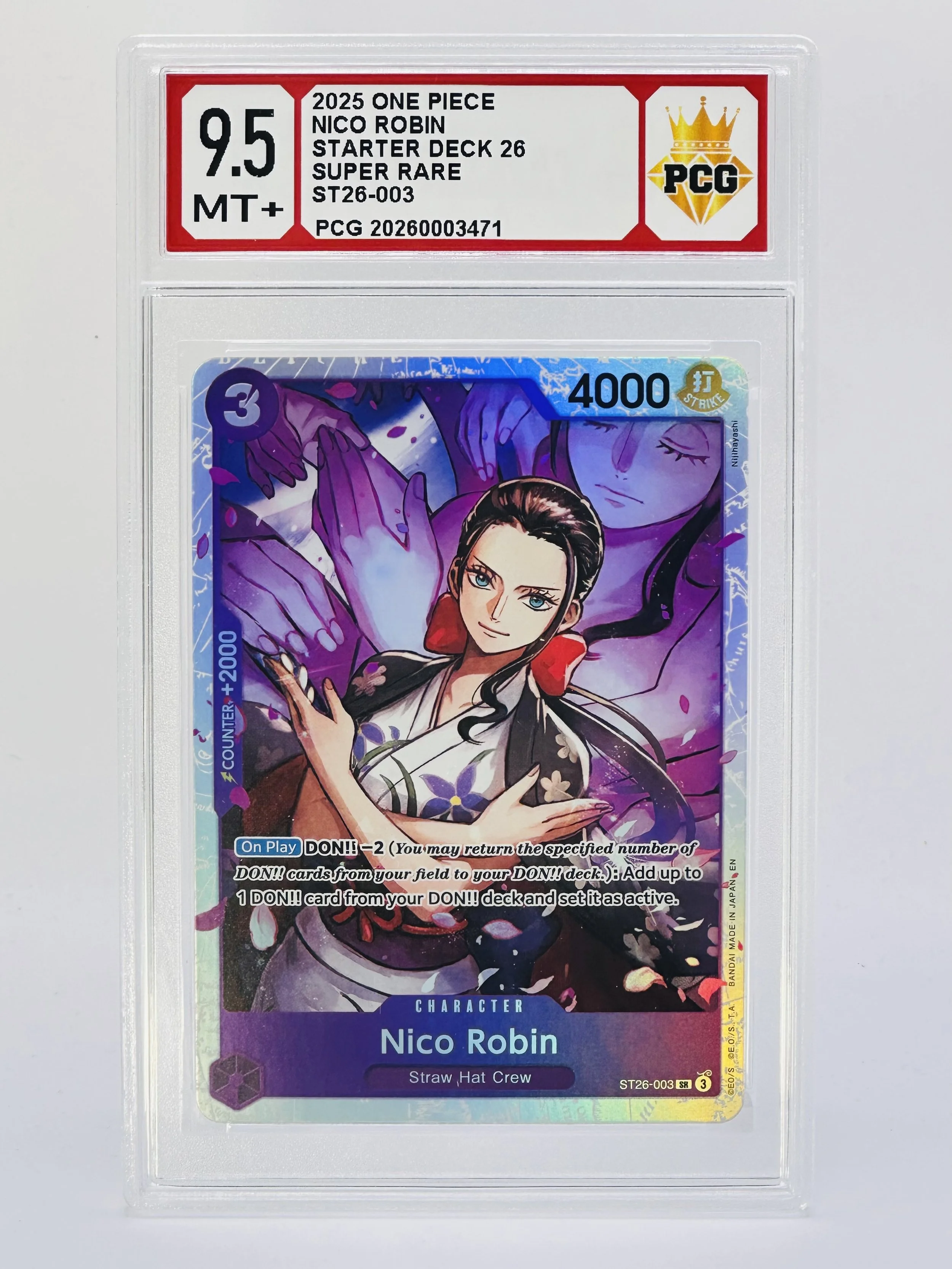 #20260003471 2025 NICO ROBIN 9.5 MT+ (Copy)