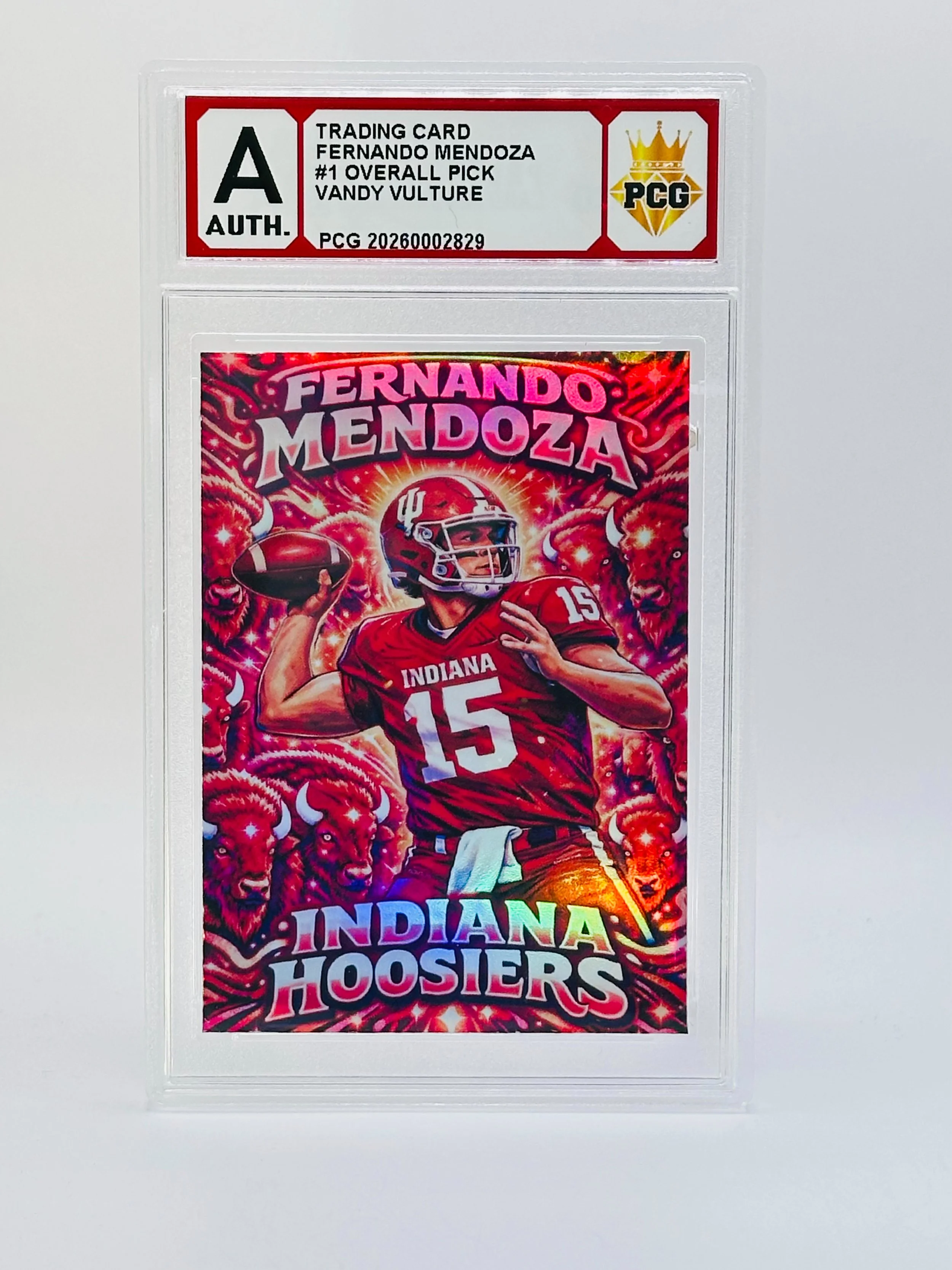 #20260002829 FERNANDO MENDOZA AUTHENTIC